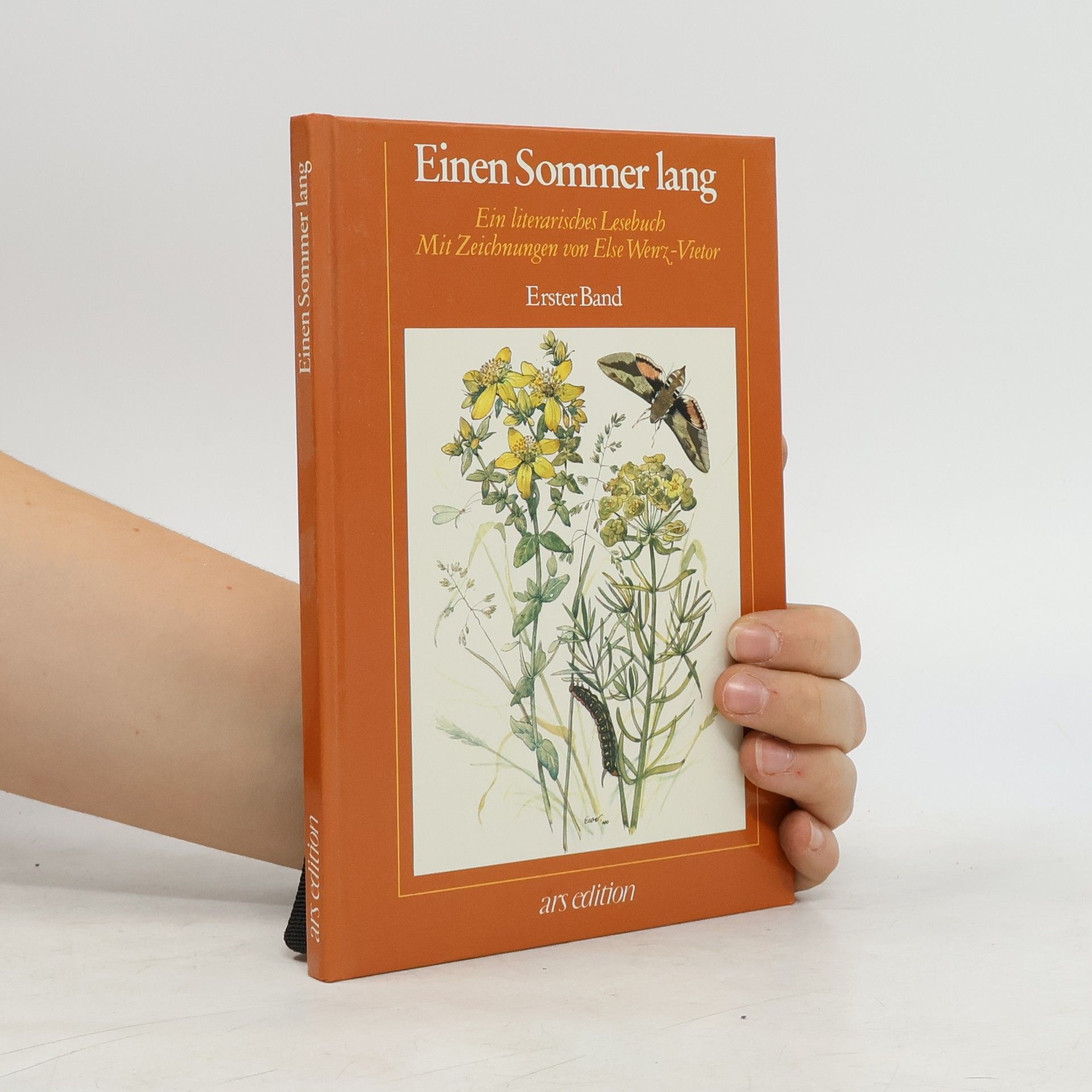 Erster Band Einen Sommer lang