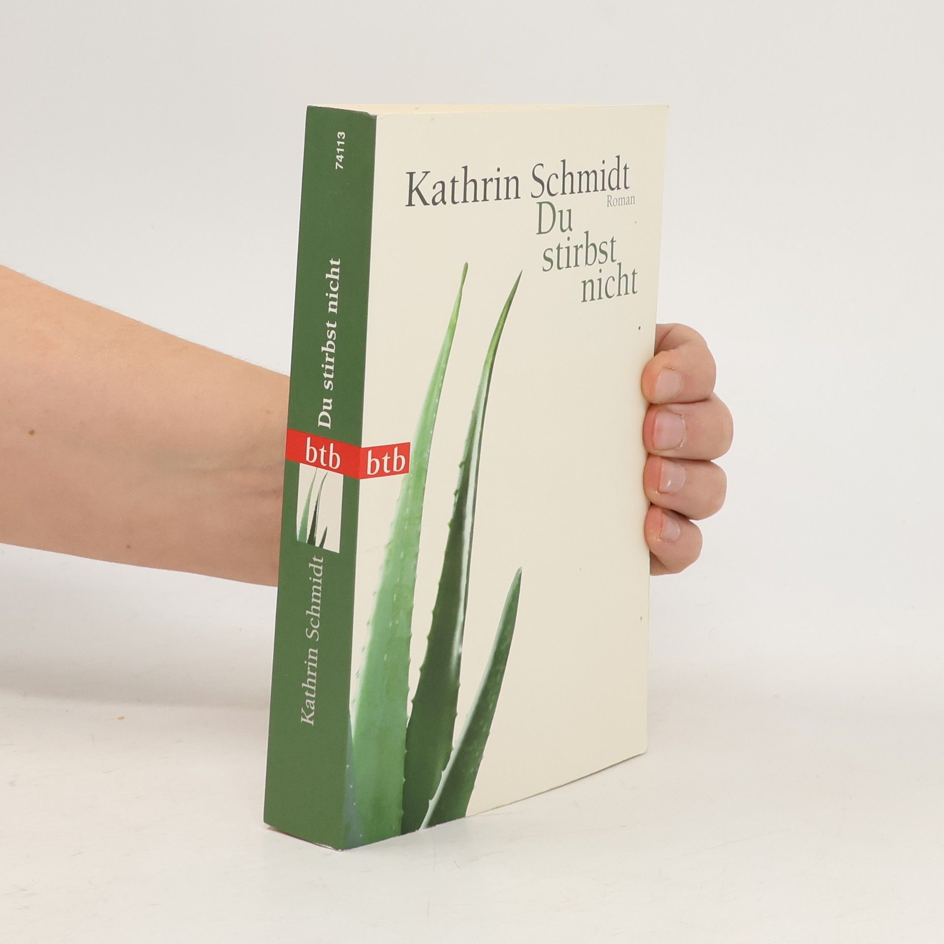 Kathrin Schmidt Du stirbst nicht