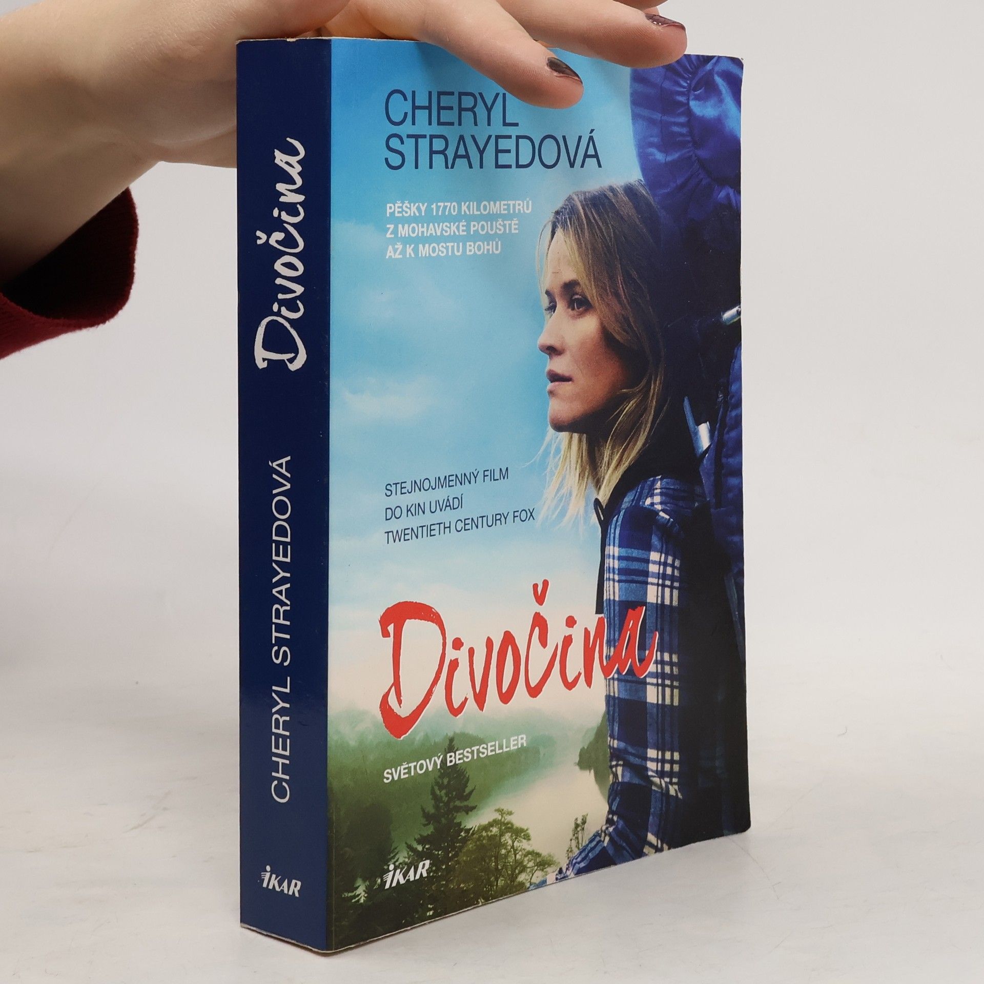 Cheryl Strayed Divočina. Pěšky 1770 kilometrů z Mohavské pouště až k mostu bohů