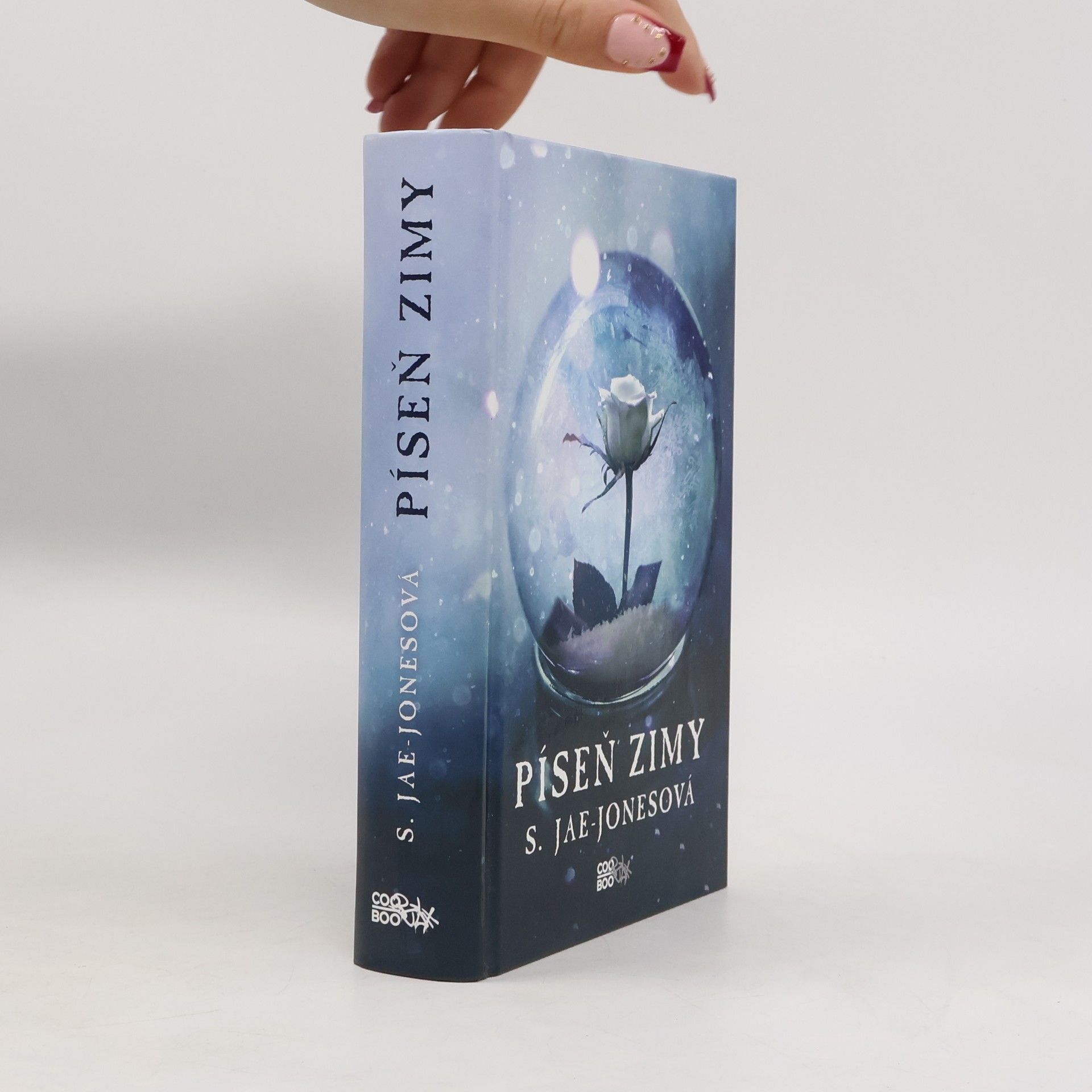 S. Jae-Jones Píseň zimy