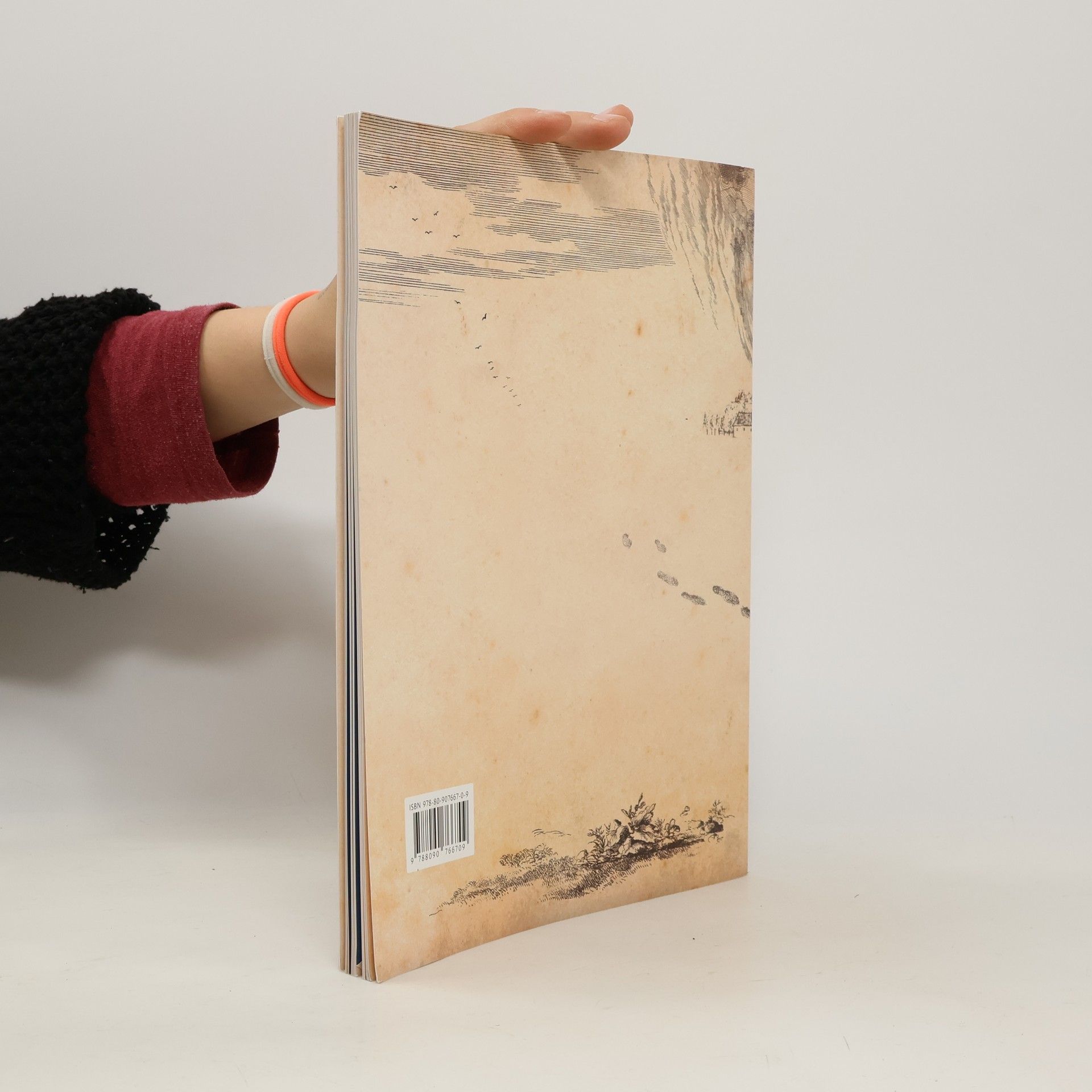 Hana Hlouchová Komenský mu říkal synu