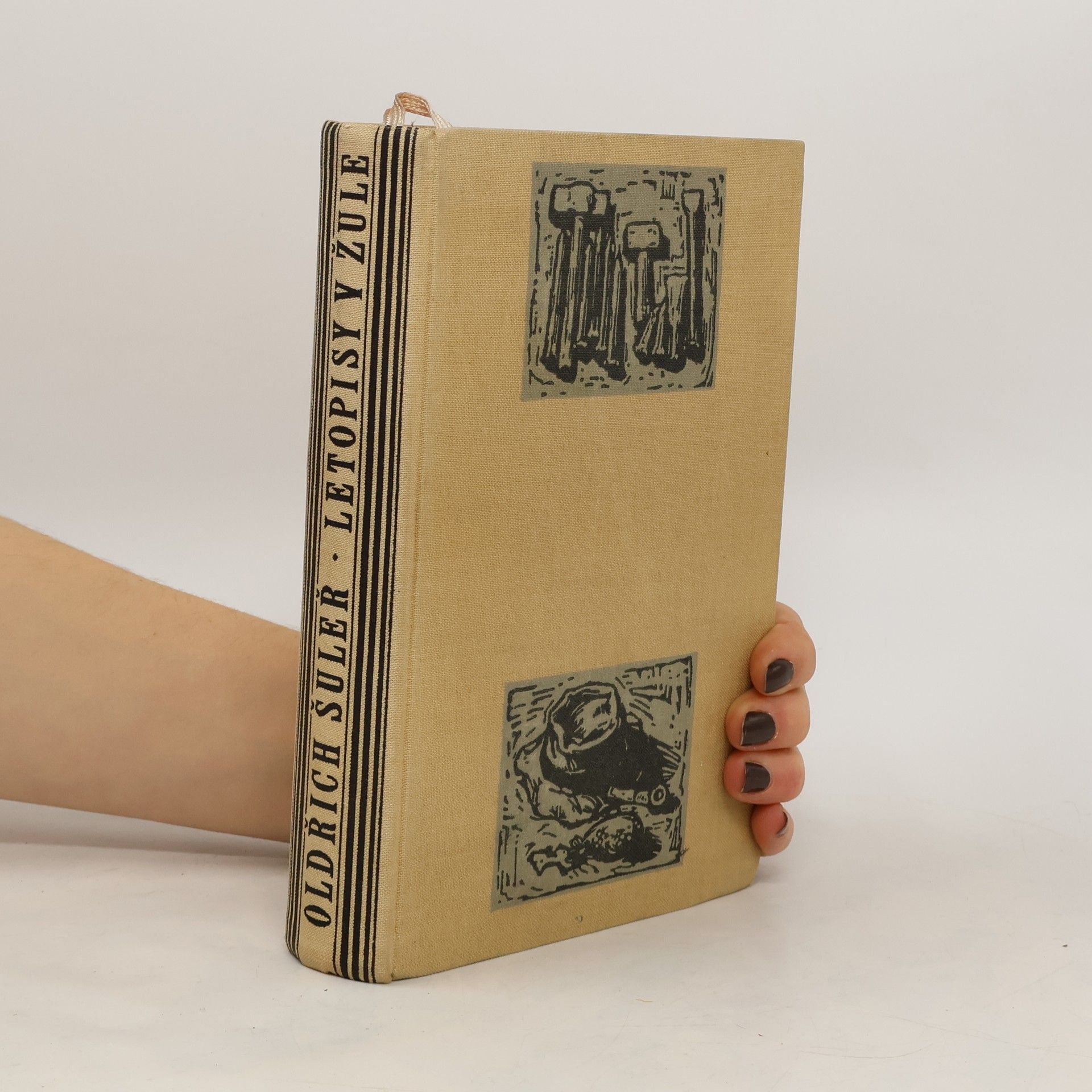 Oldřich Šuleř Letopisy v žule