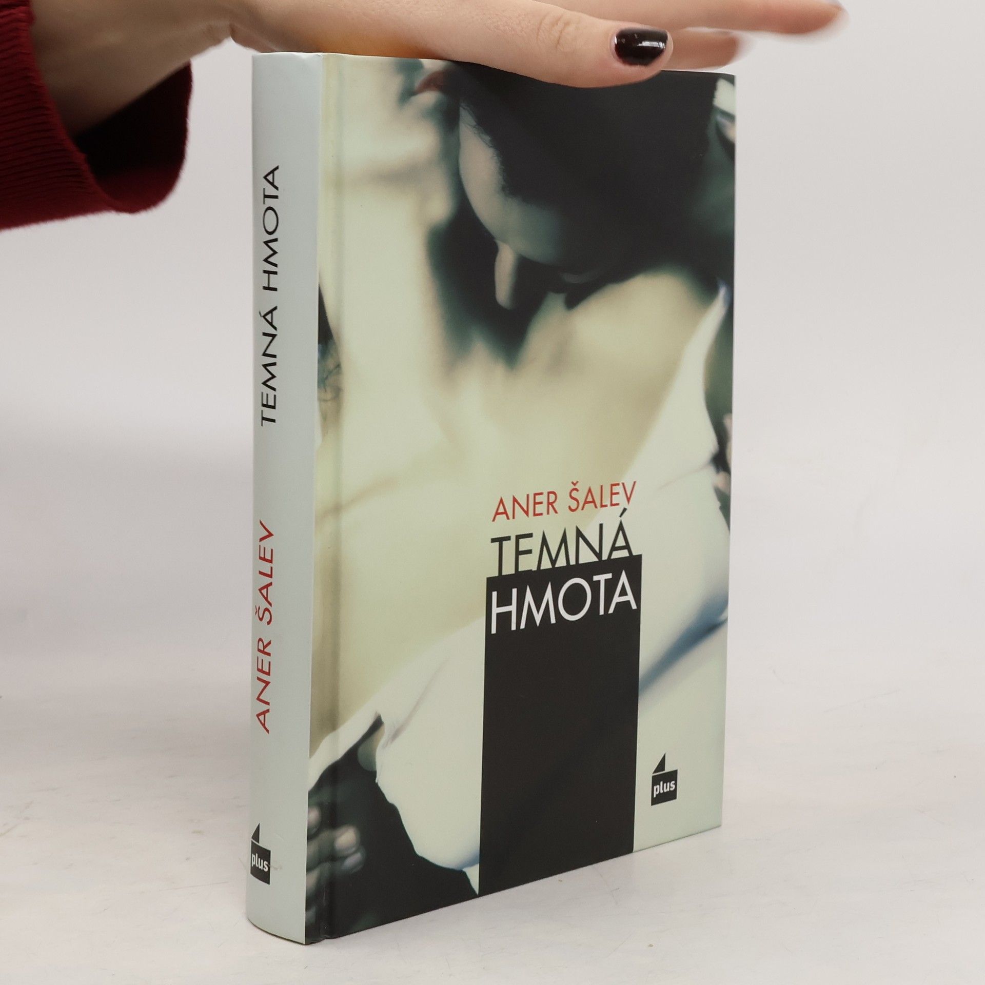 Aner Shalev Temná hmota