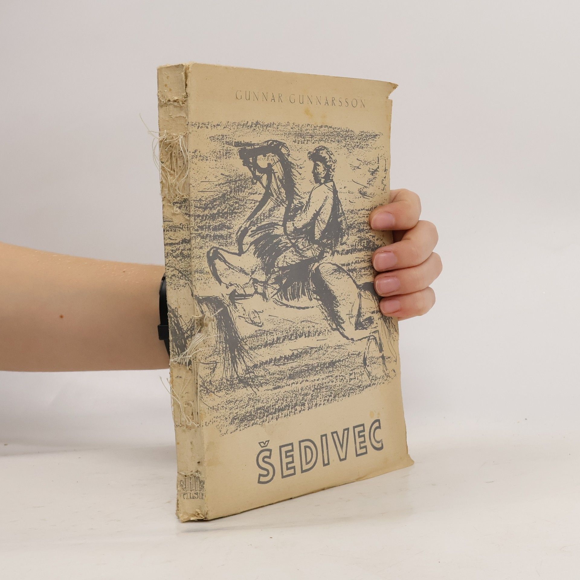 Gunnar Gunnarsson Šedivec