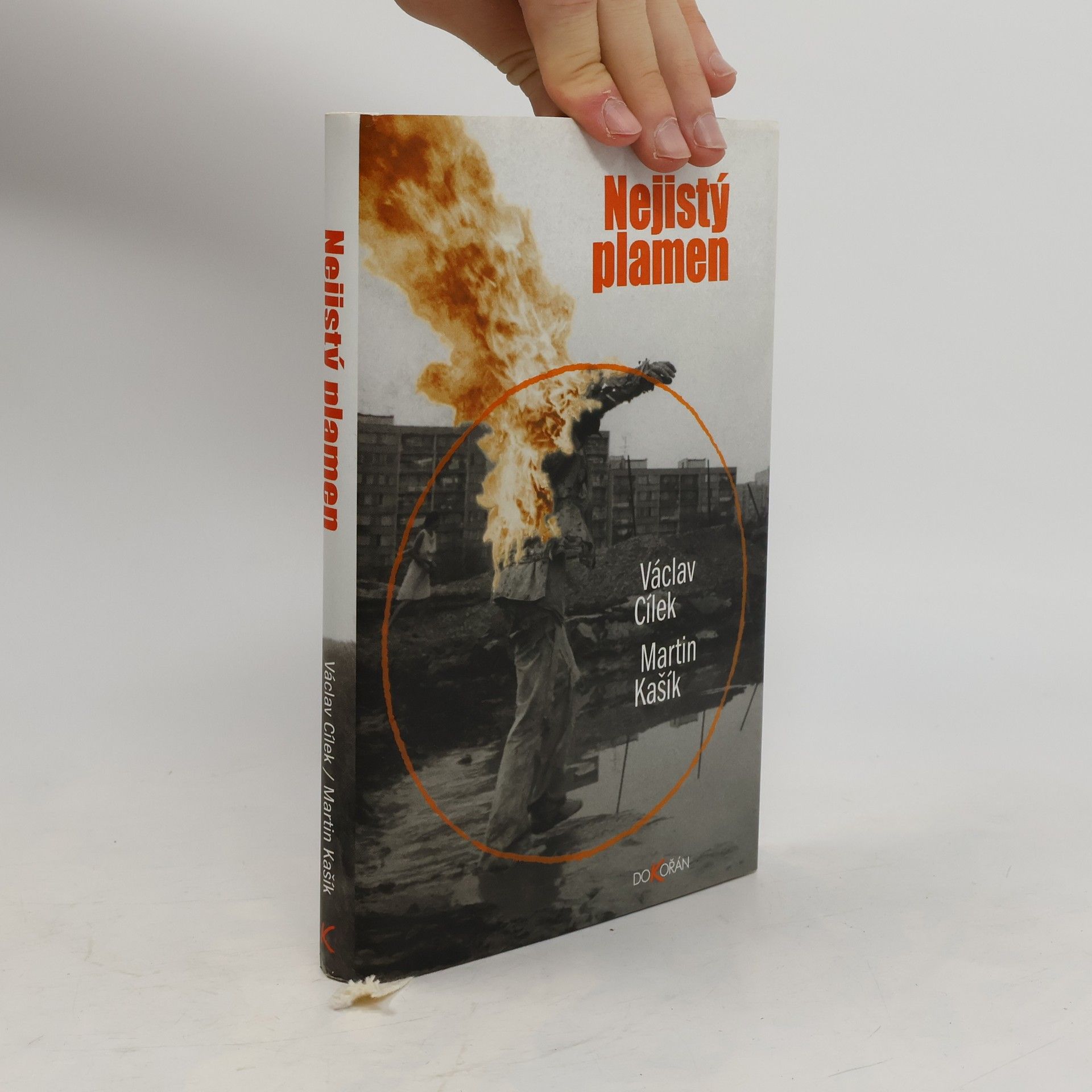 Nejistý plamen: Průvodce ropným světem