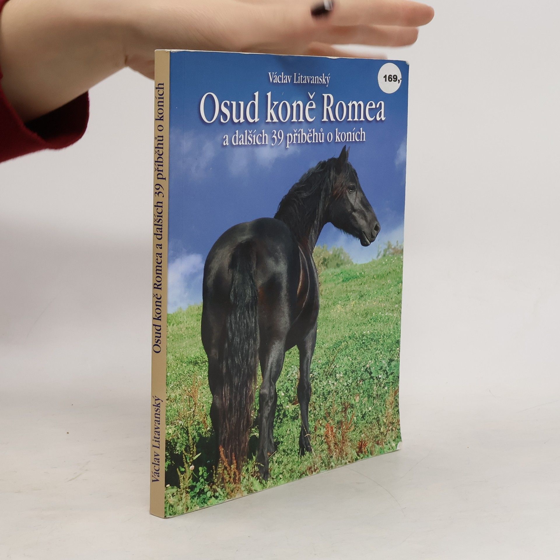 Osud koně Romea a dalších 39 příběhů o koních