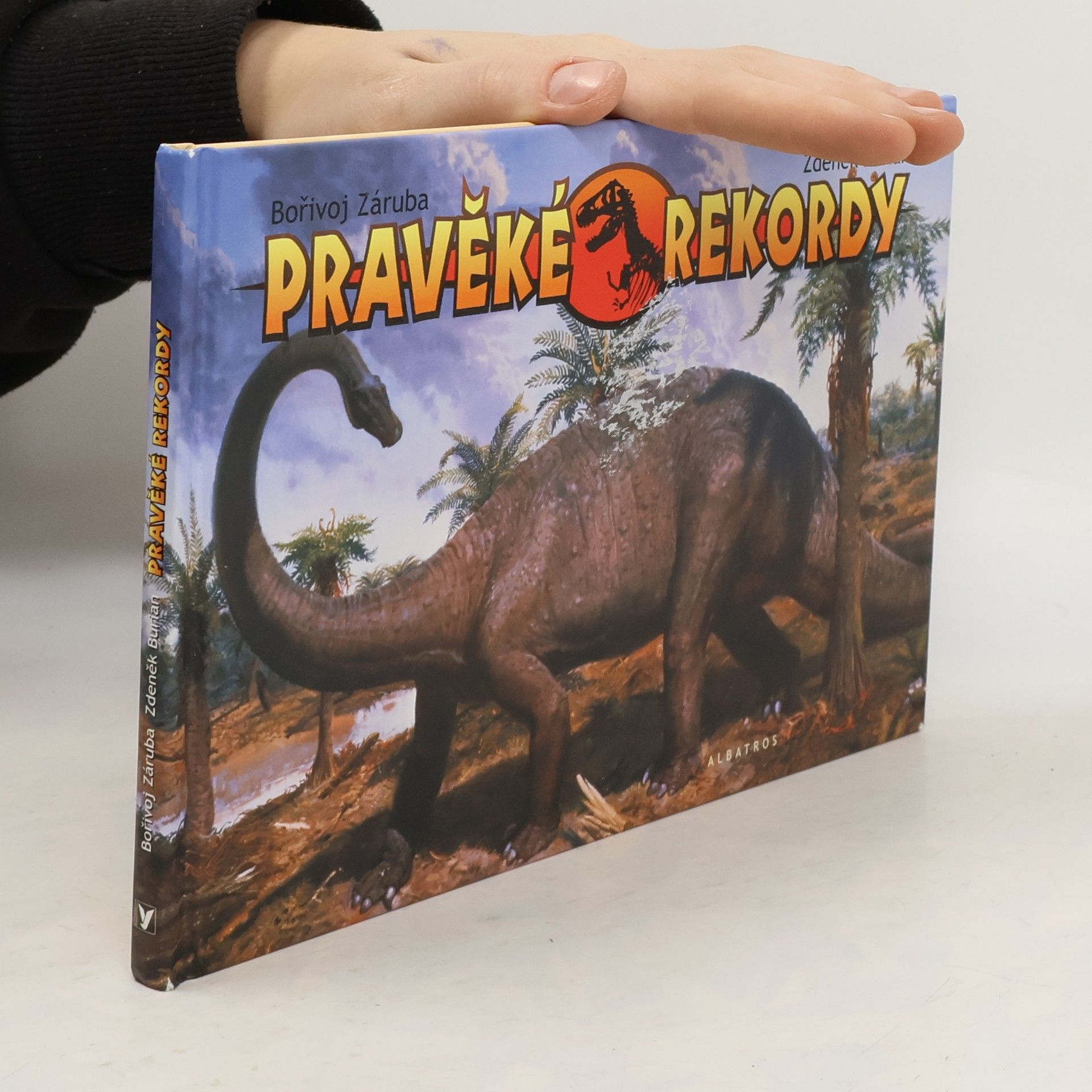 Bořivoj Záruba Pravěké rekordy