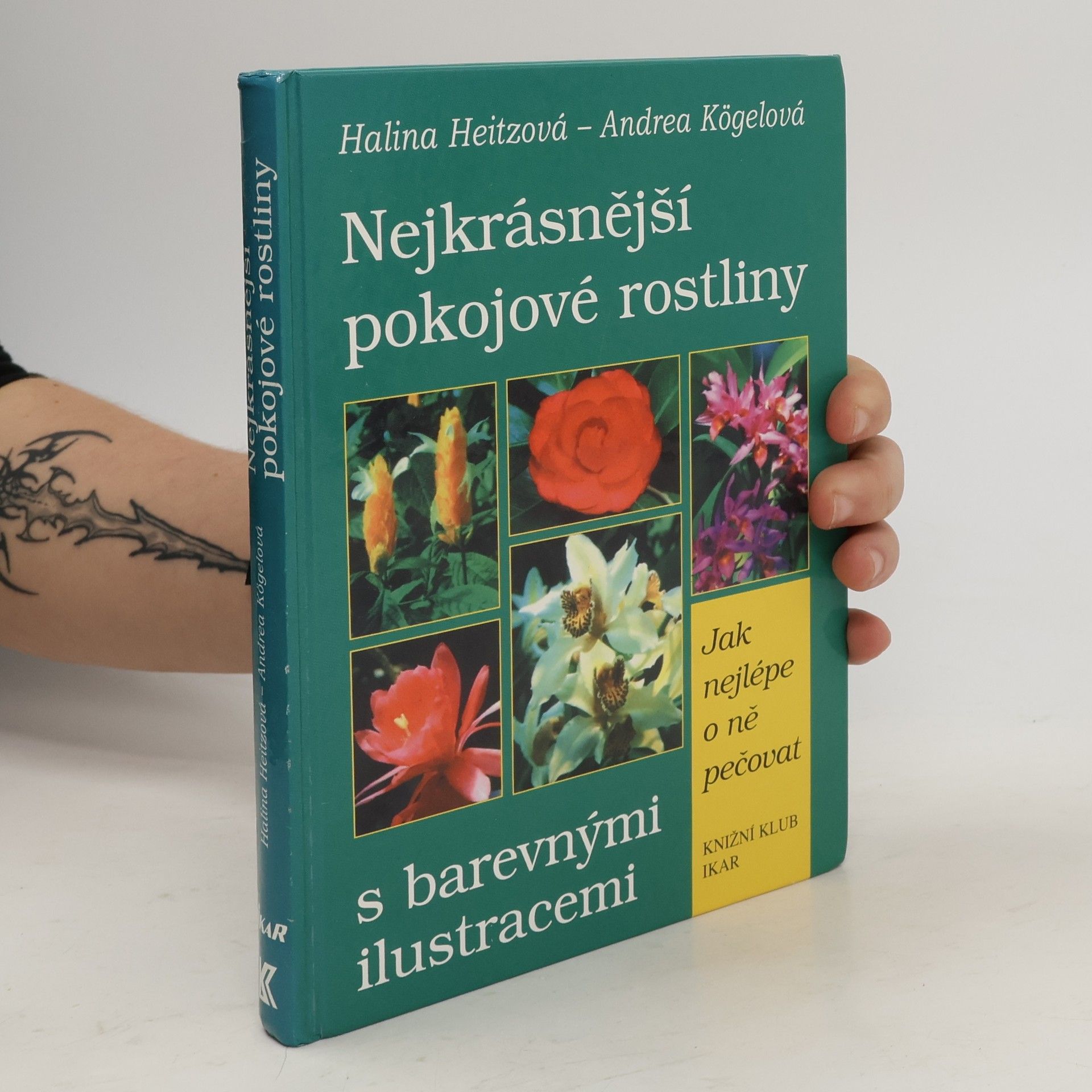 Halina Heitz Nejkrásnější pokojové rostliny