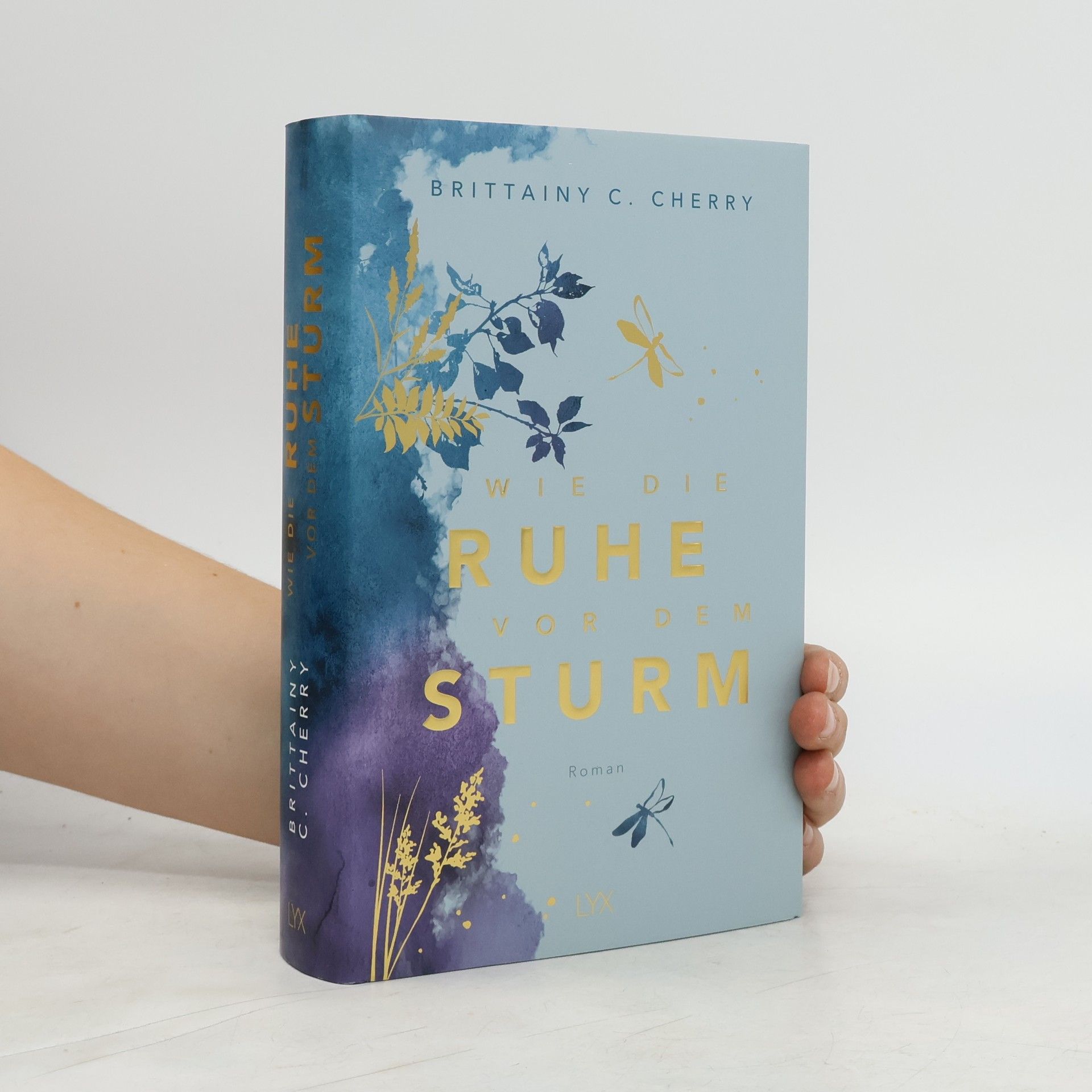 Brittainy C. Cherry Wie die Ruhe vor dem Sturm: Special Edition
