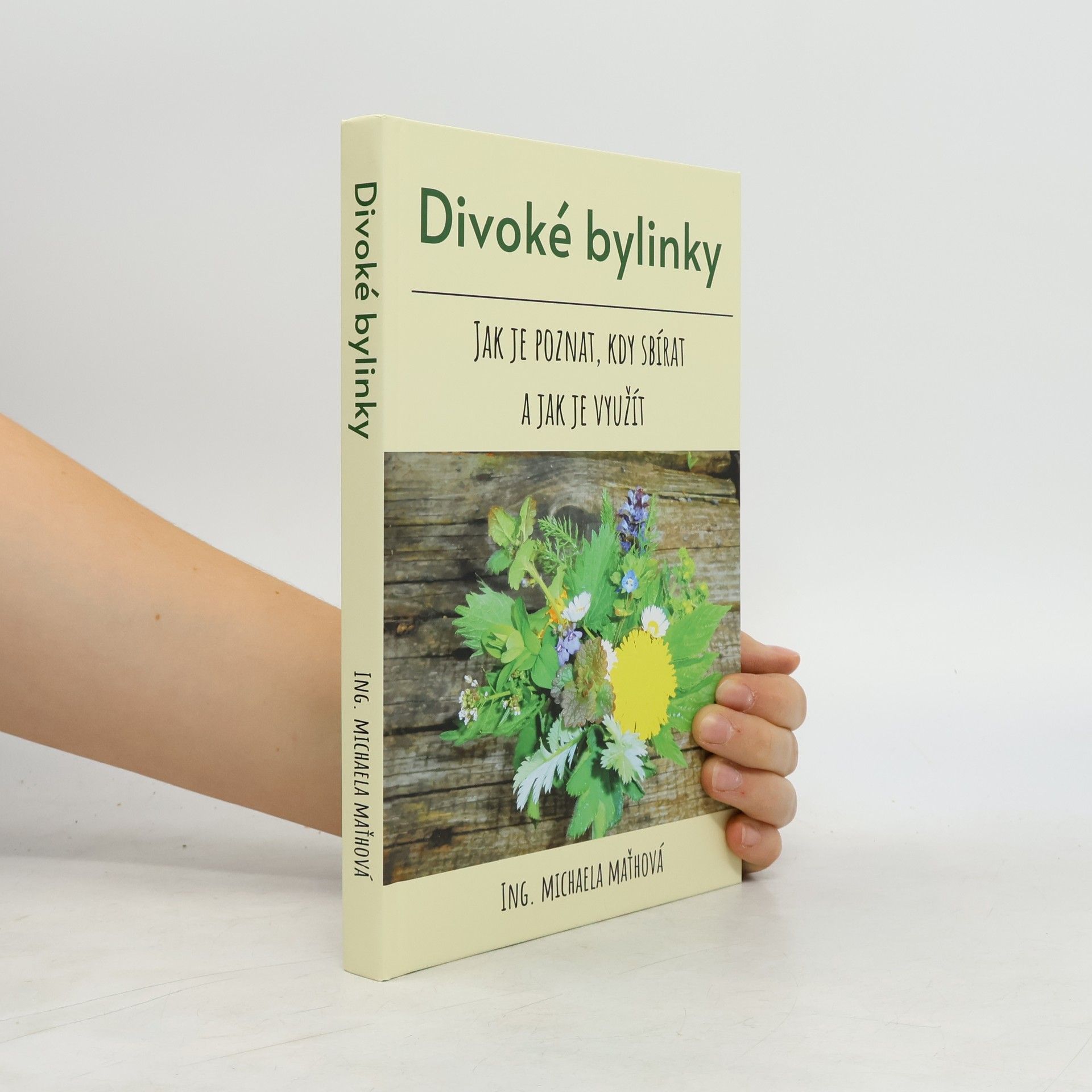 Divoké bylinky