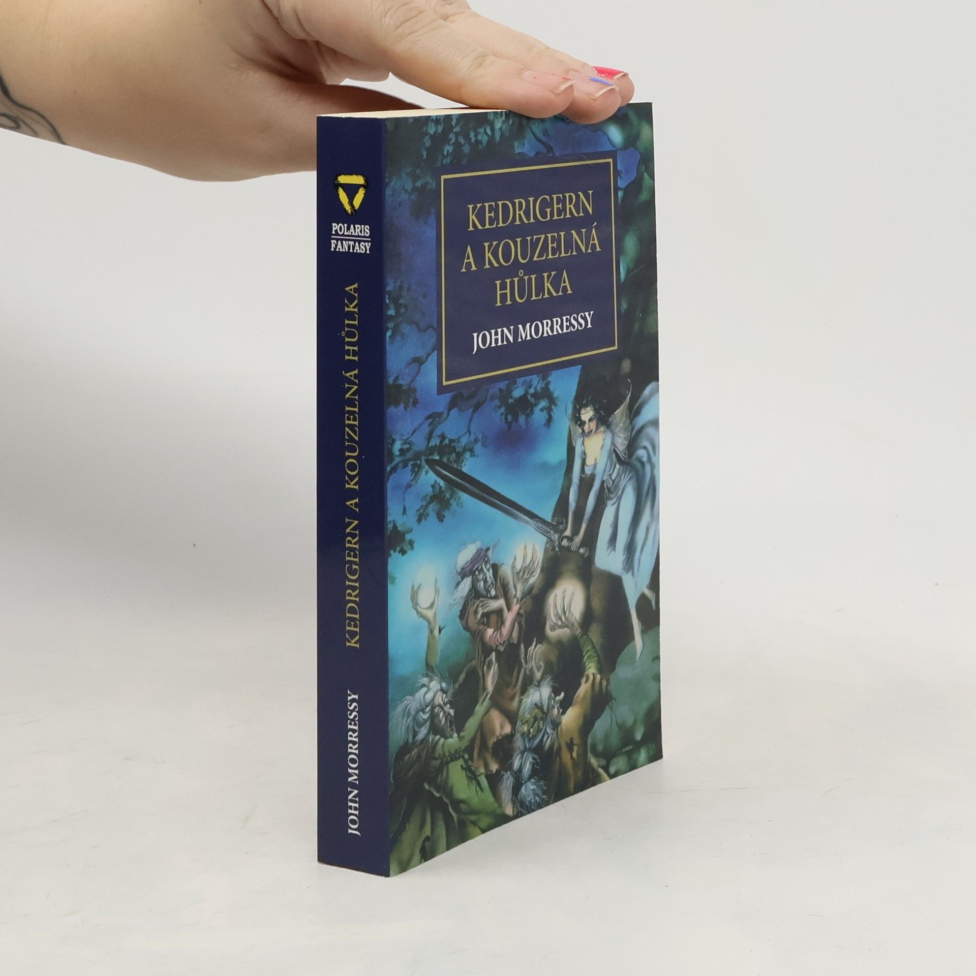 John Morressy Kedrigern a kouzelná hůlka