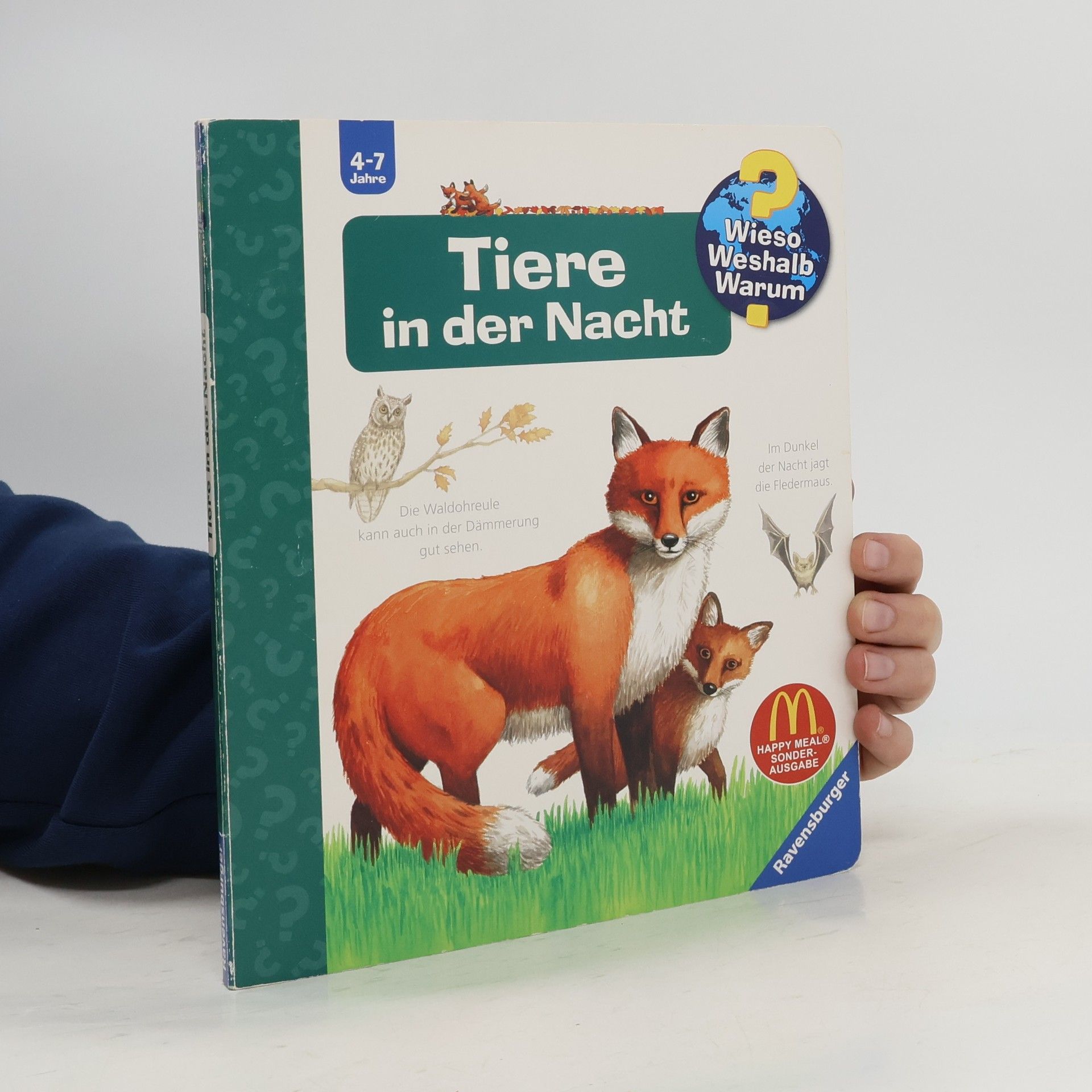 Anne Ebert Tiere in der Nacht