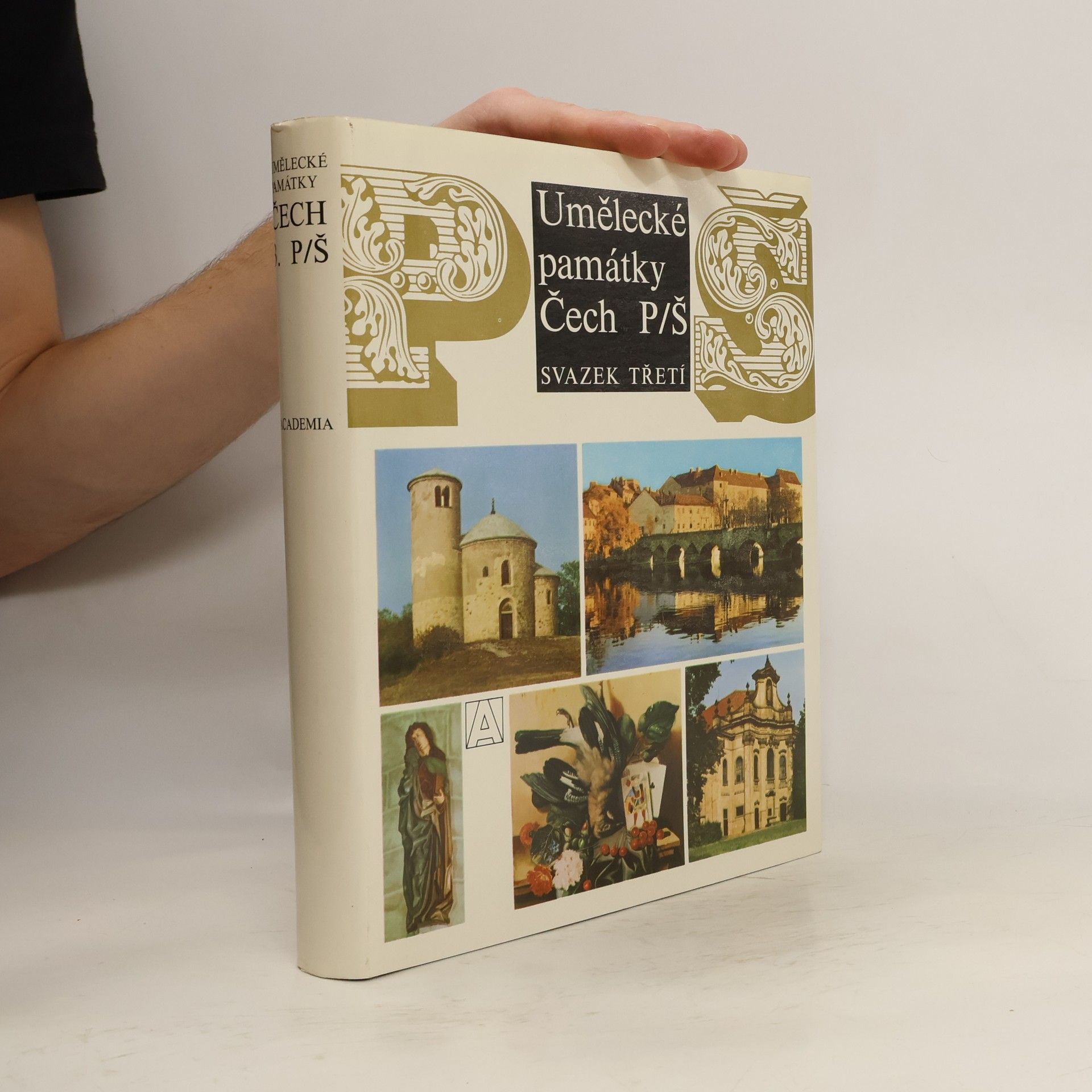 Kolektiv autorů Umělecké památky Čech 3. P-Š