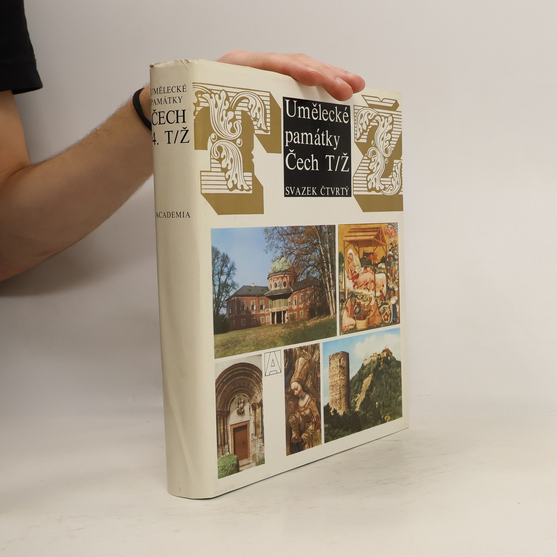 Kolektiv autorů Umělecké památky Čech 4. T/Ž