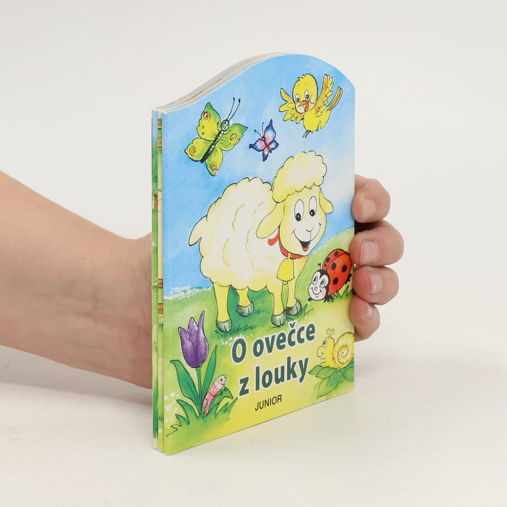 Zuzana Pospíšilová O ovečce z louky