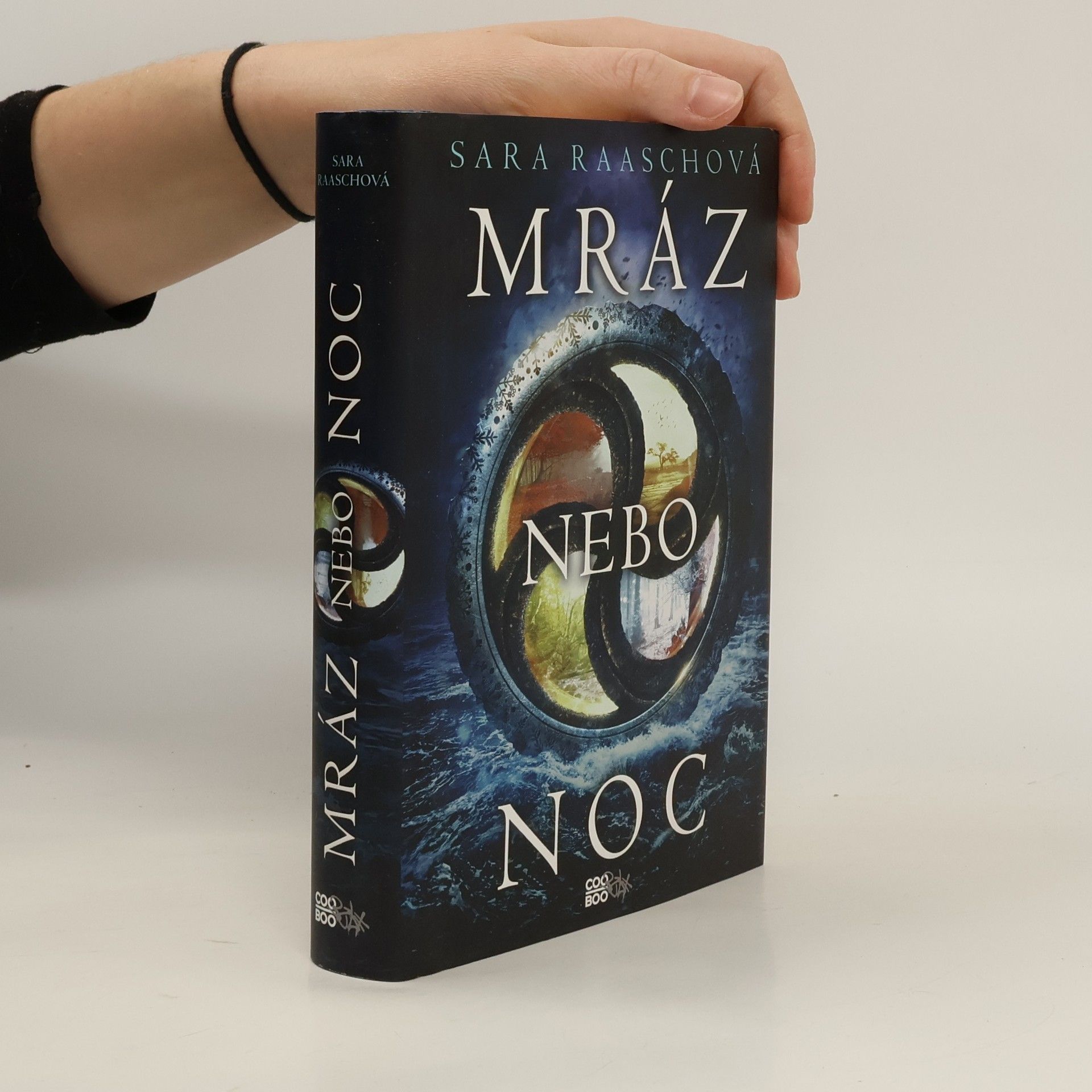 Sara Raasch Mráz nebo noc