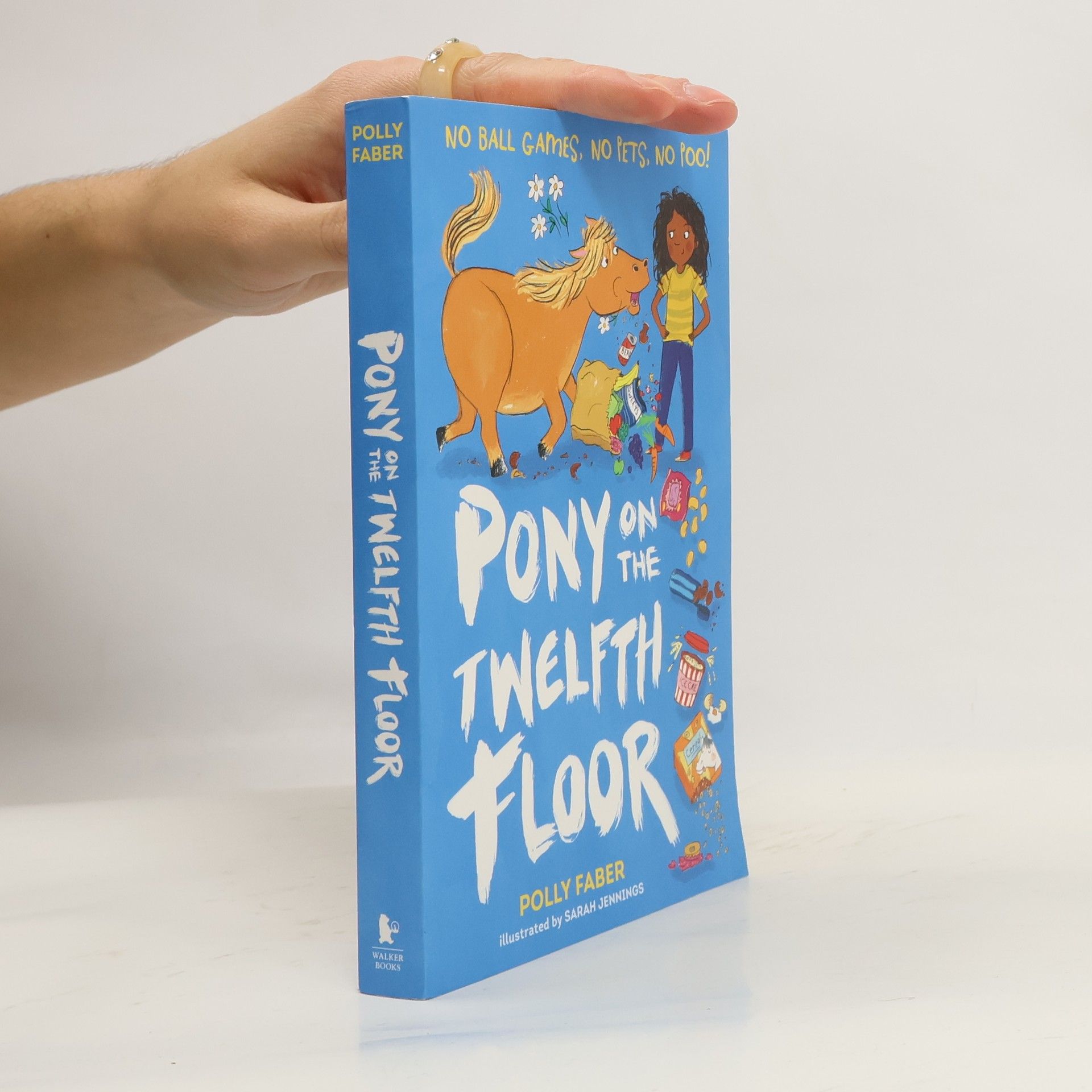 Polly Faber Pony on the Twelfth Floor