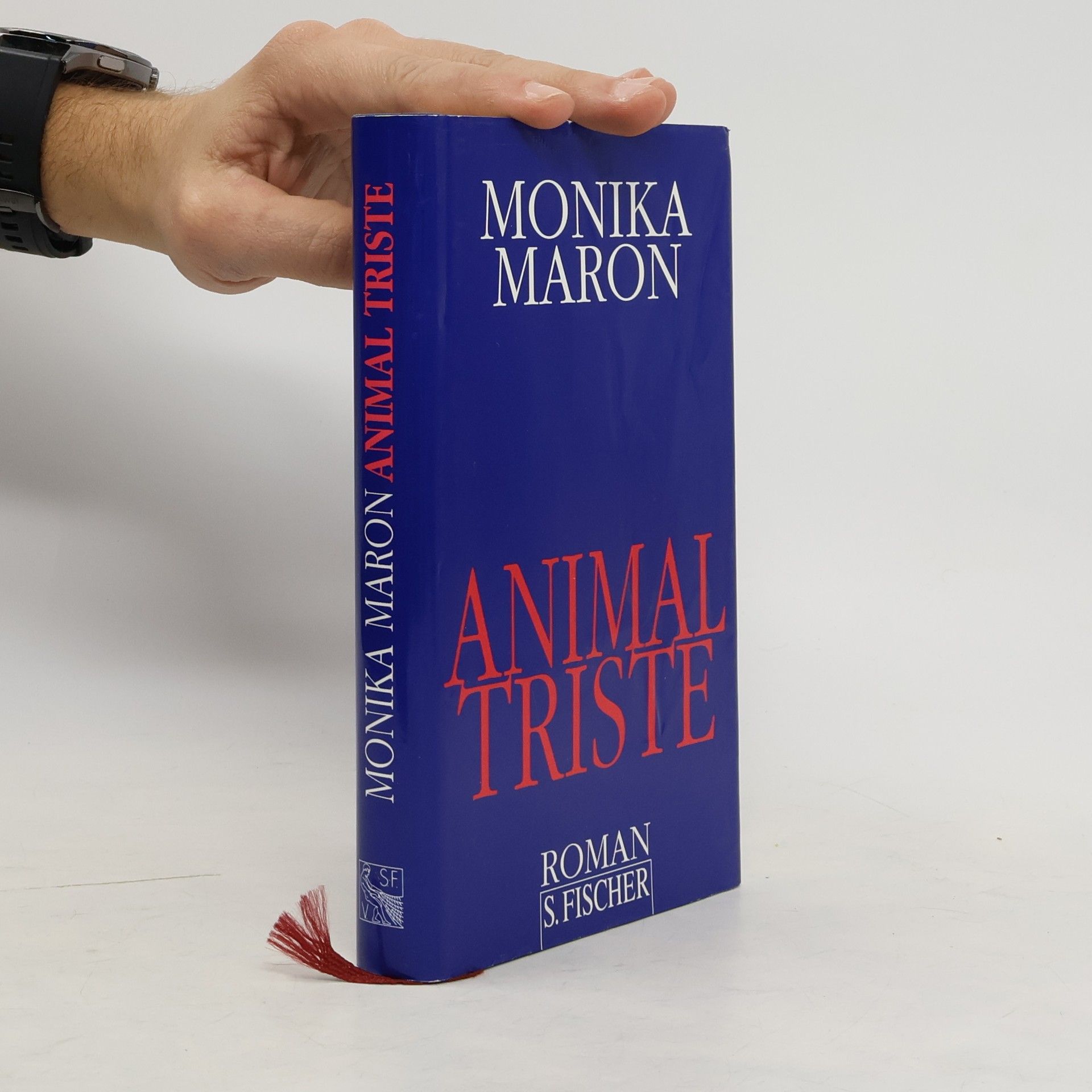 Monika Maron Animal triste