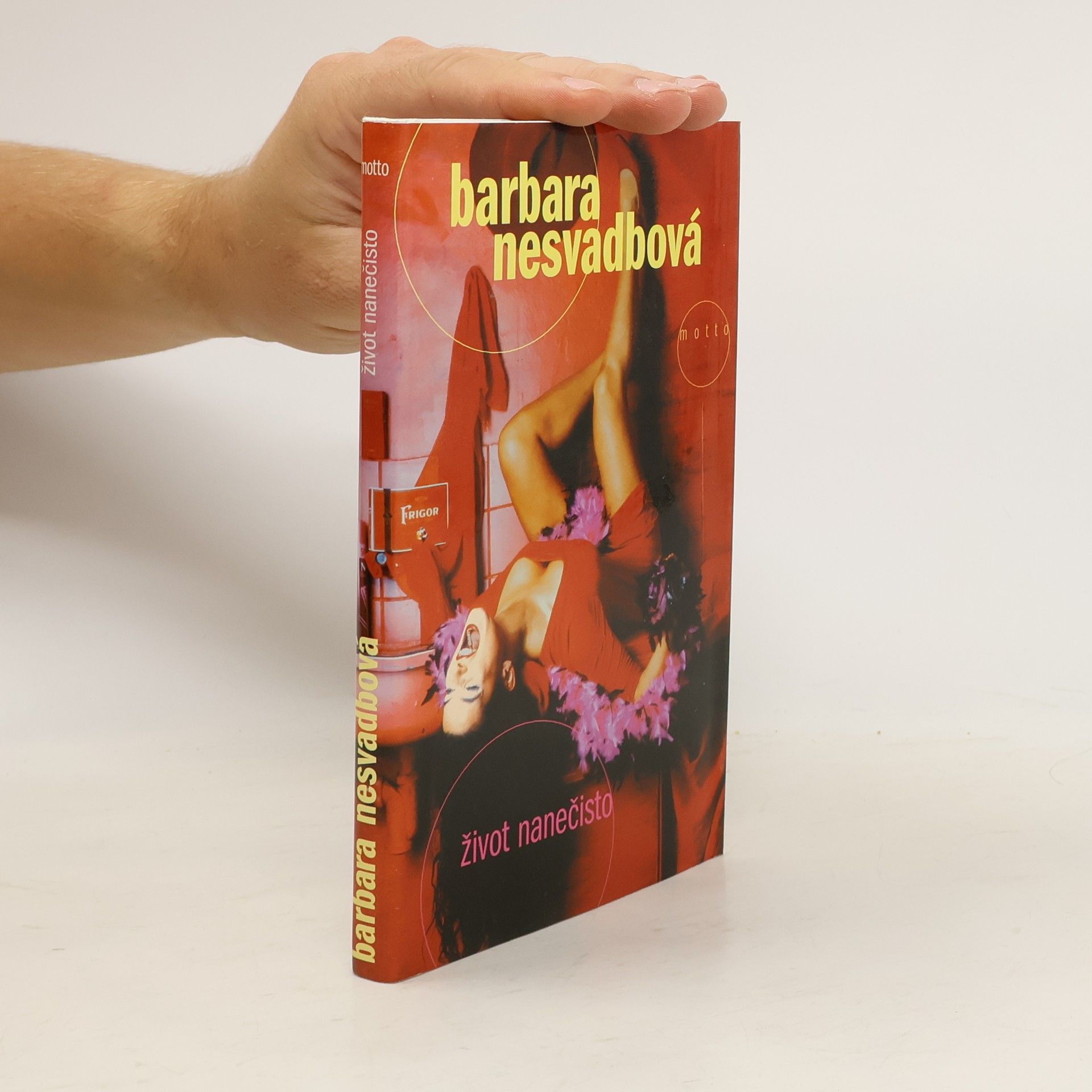 Bára Nesvadbová Život nanečisto