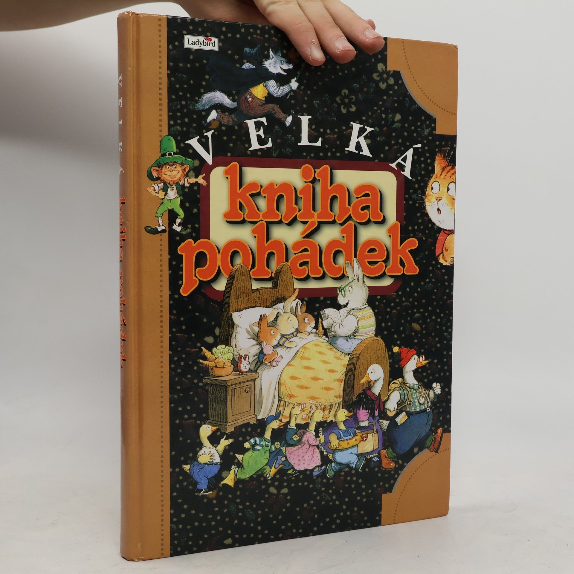 Autorenkollektiv Velká kniha pohádek