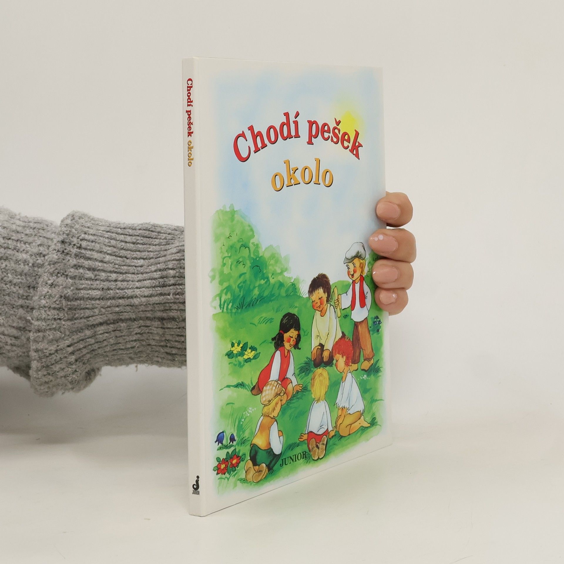 Vladimíra Vopičková Chodí pešek okolo (leporelo)