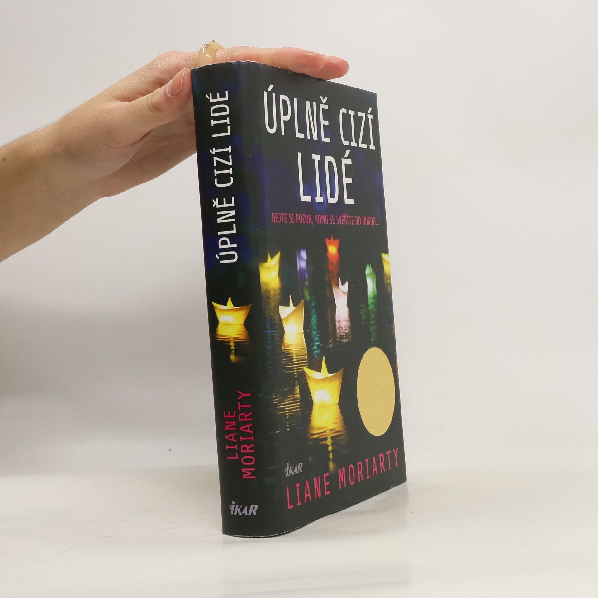 Liane Moriarty Úplně cizí lidé