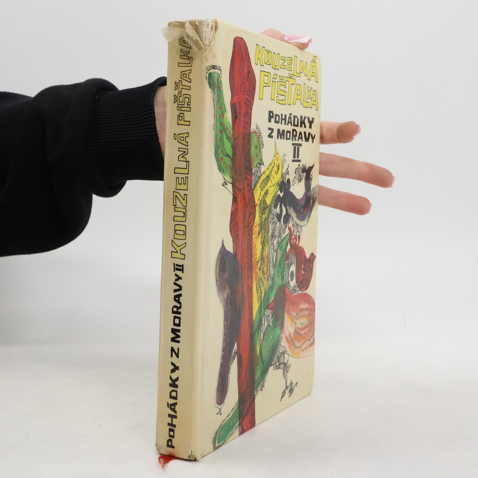 Jaroslav Novák Kouzelná Píšťalka