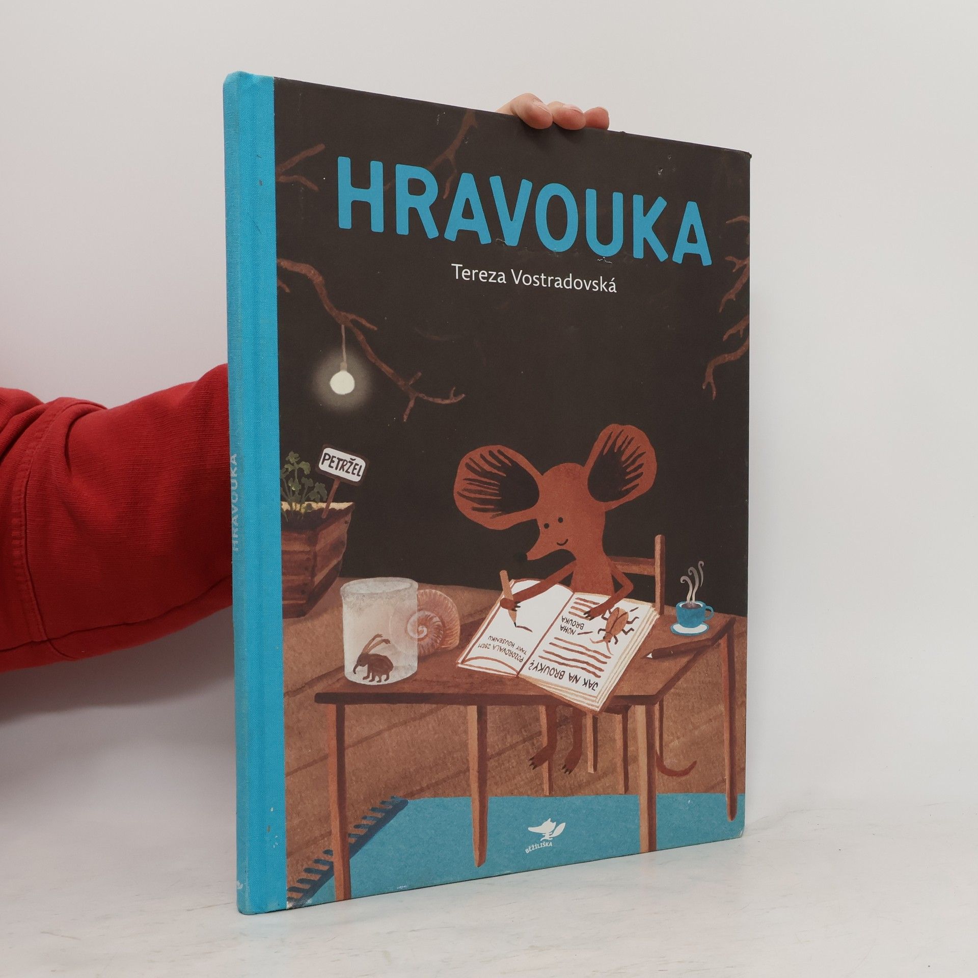 Tereza Vostradovská Hravouka