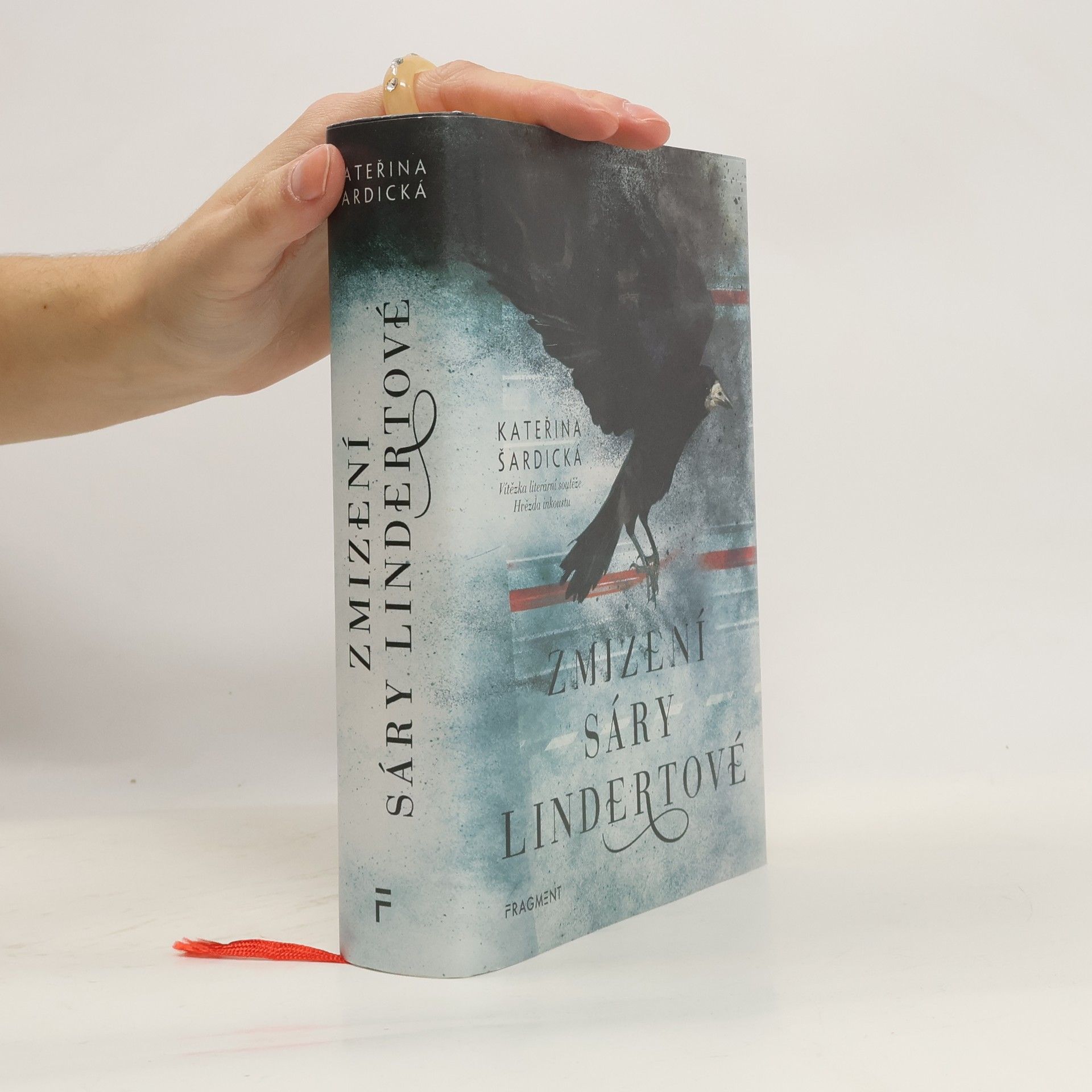 Zmizení Sáry Lindertové