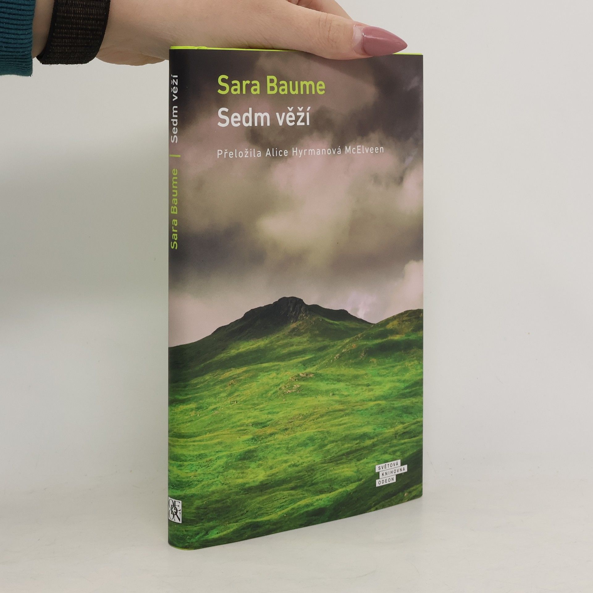 Sara Baume Sedm věží