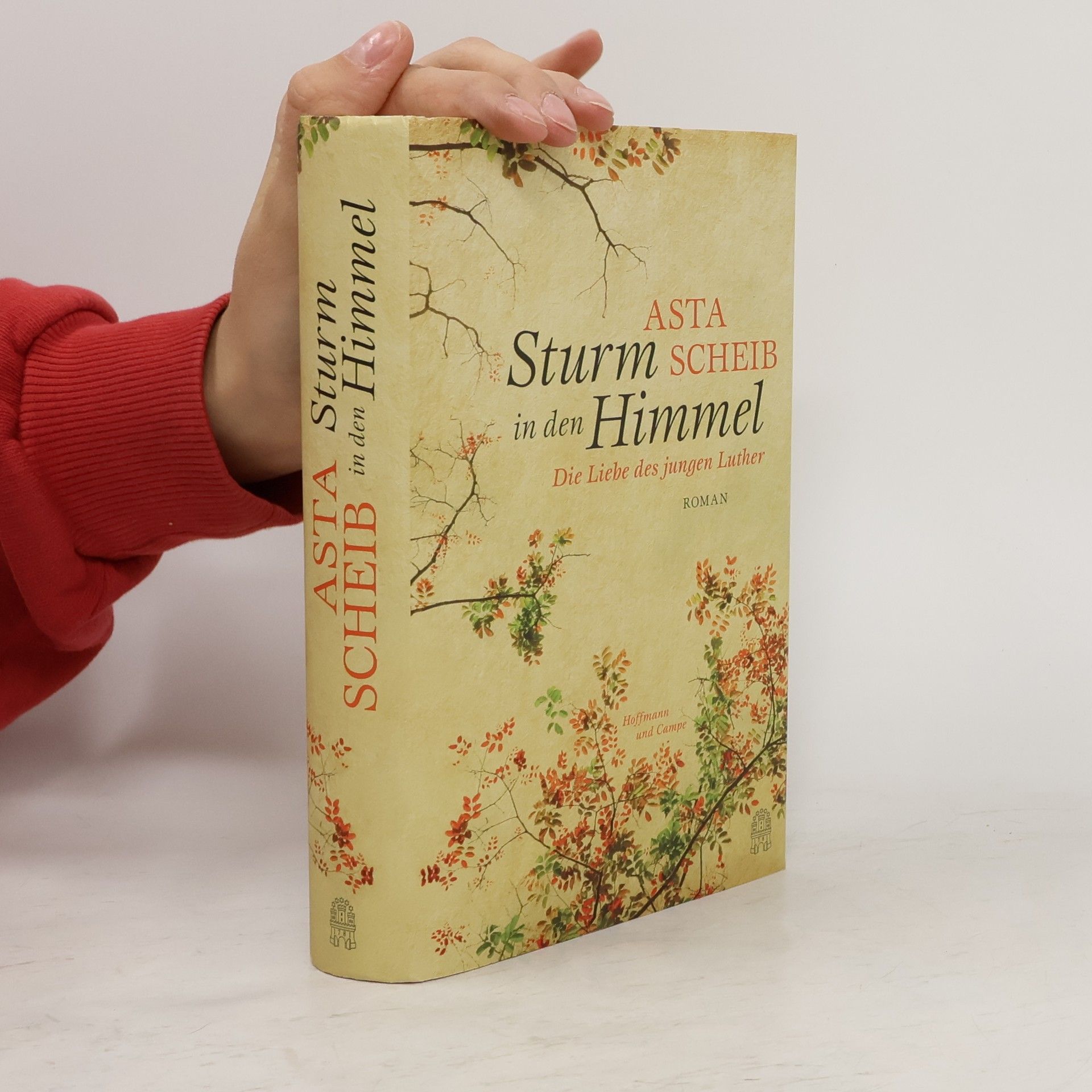 Asta Scheib Sturm in den Himmel