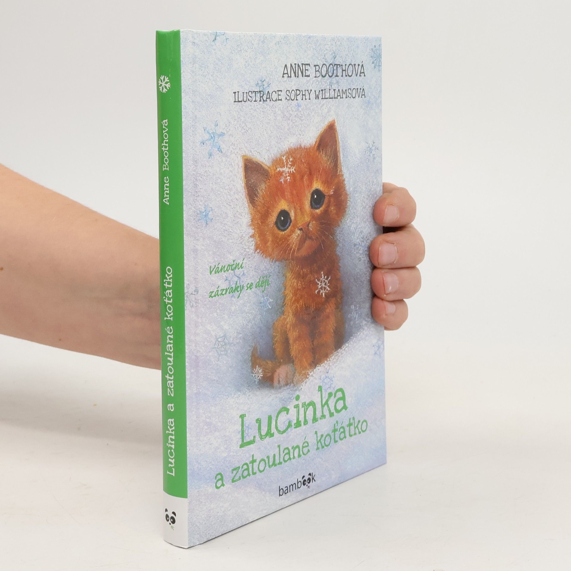 Anne Booth Lucinka a zatoulané koťátko