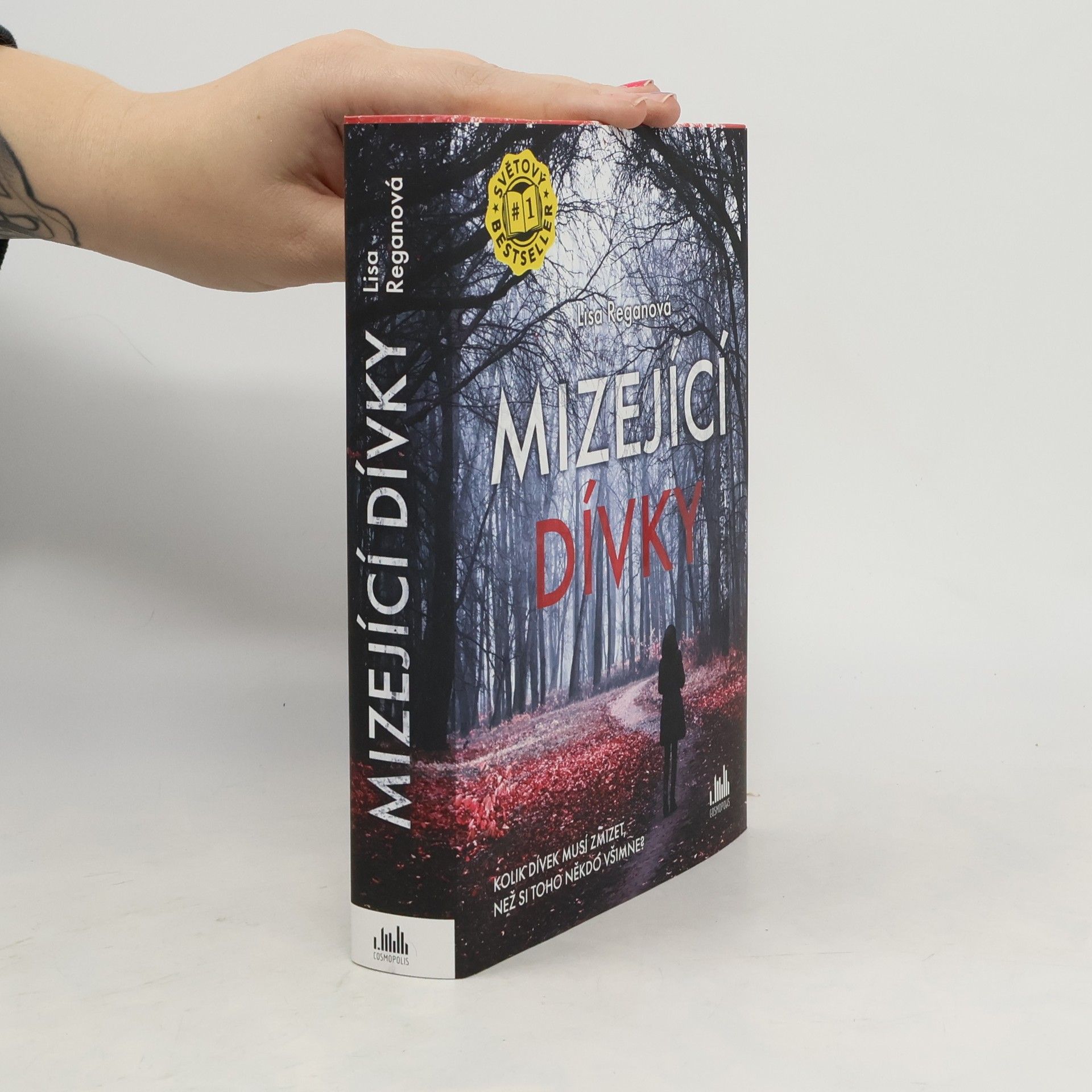 Lisa Regan Mizející dívky