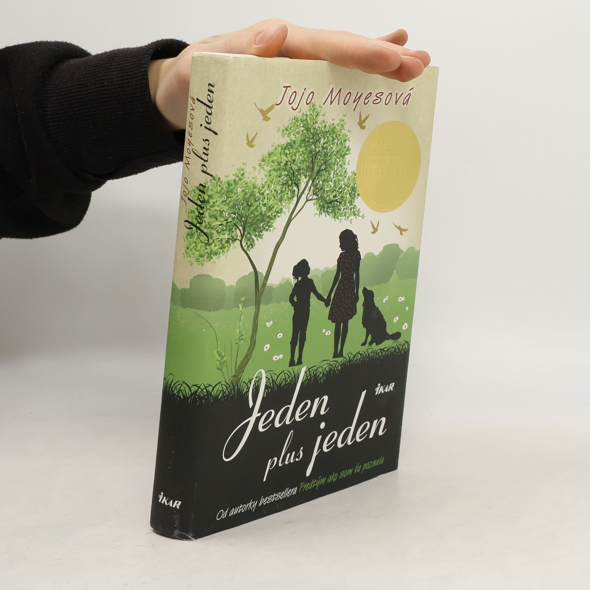 Jojo Moyes Jeden plus jeden