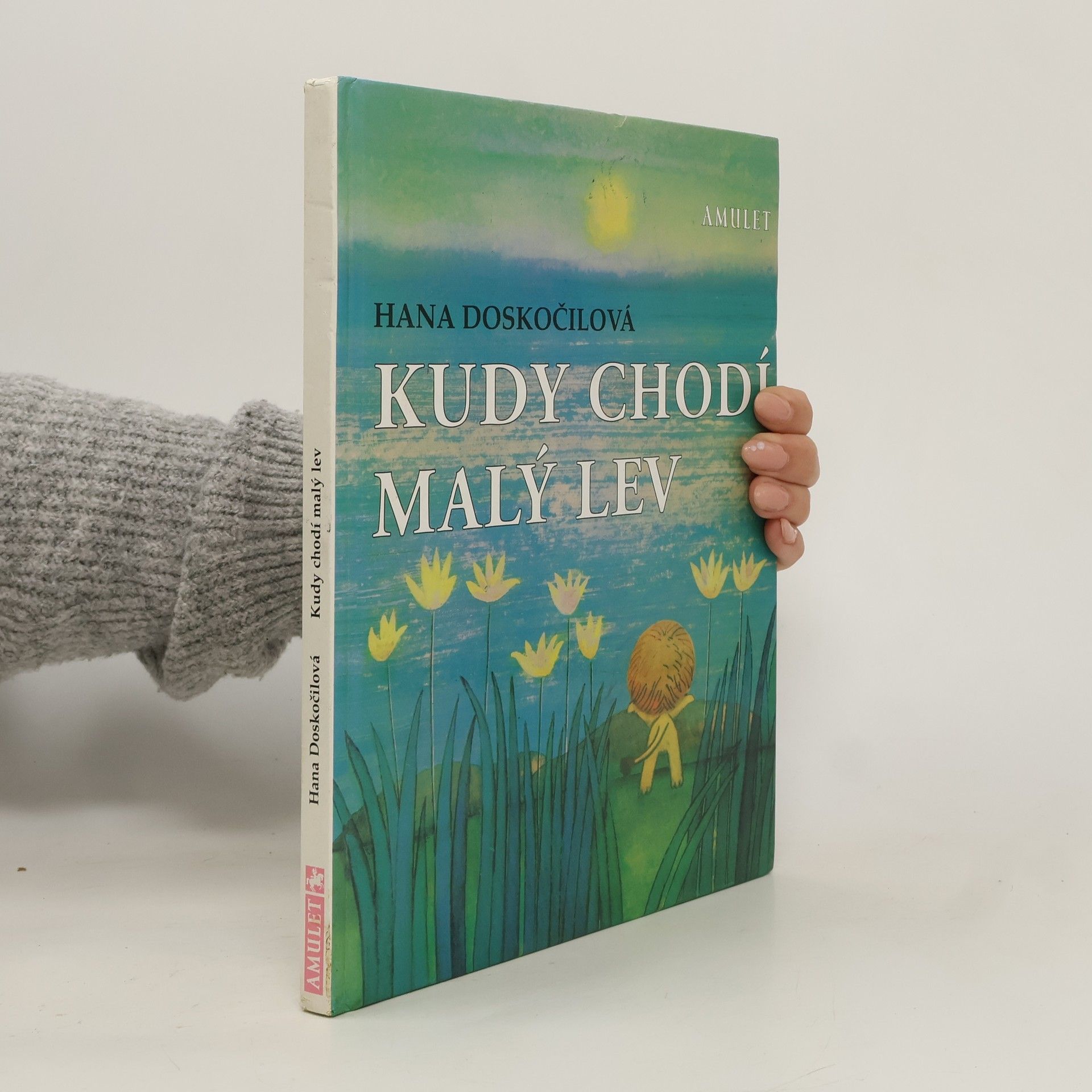 Kudy chodí malý lev