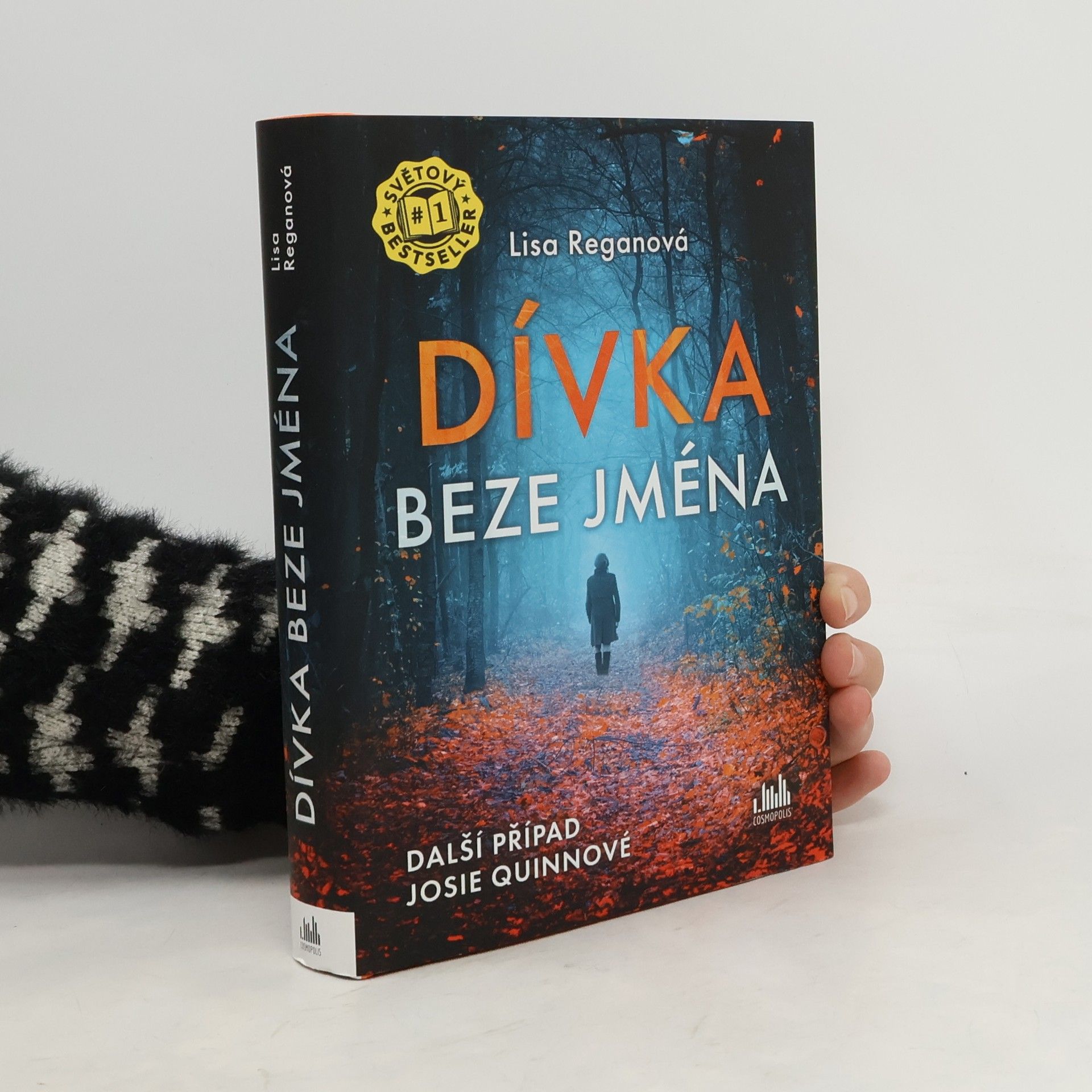 Lisa Regan Dívka beze jména: Další případ Josie Quinnové