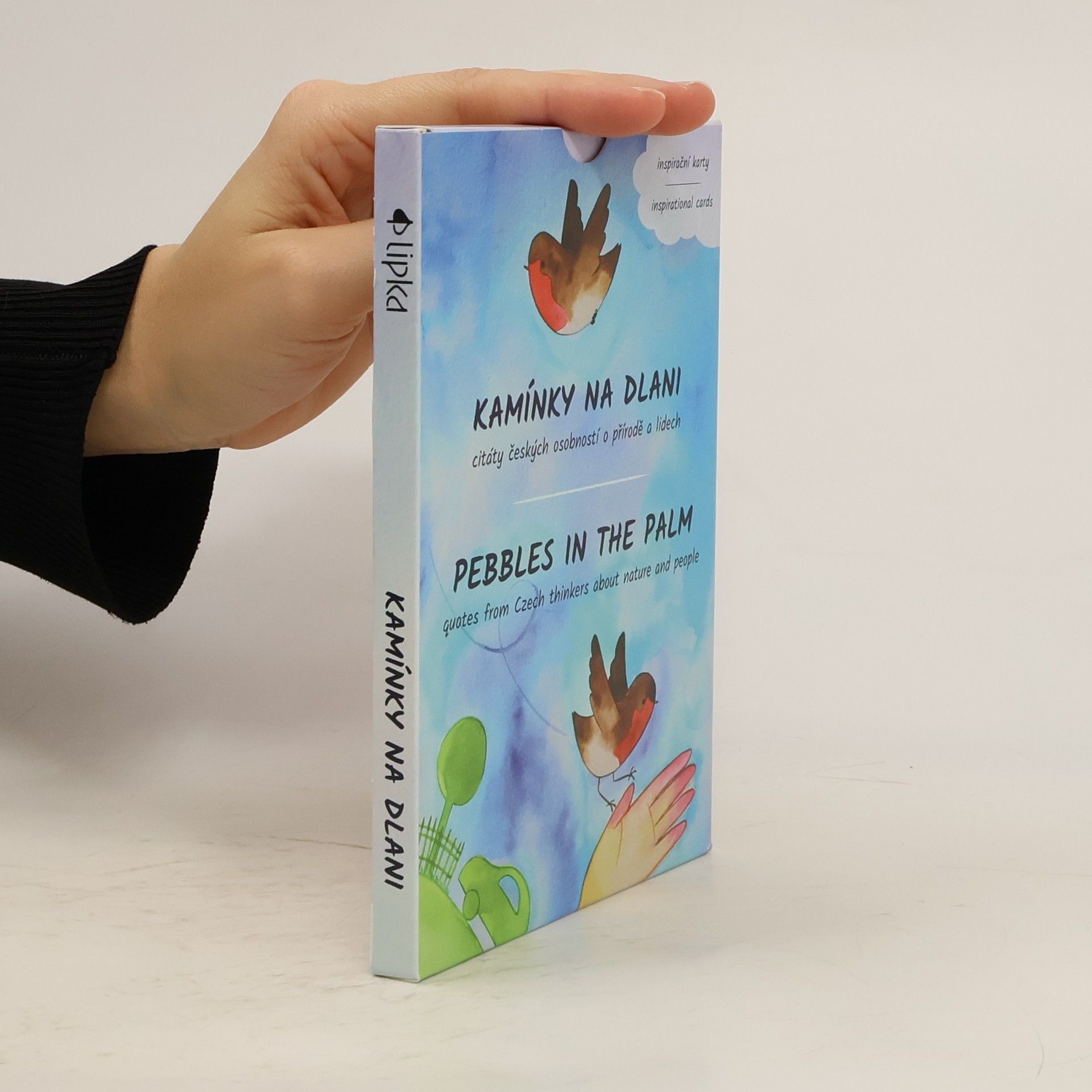 Kolektiv autorů Kamínky na dlani
