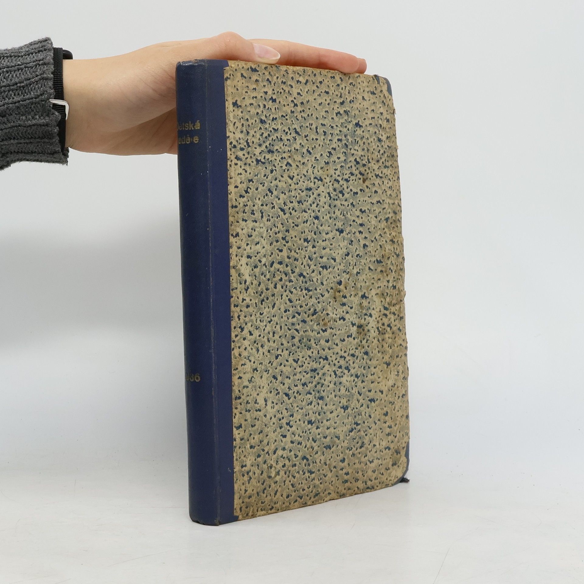 Rudolf Schikora Dětská neděle