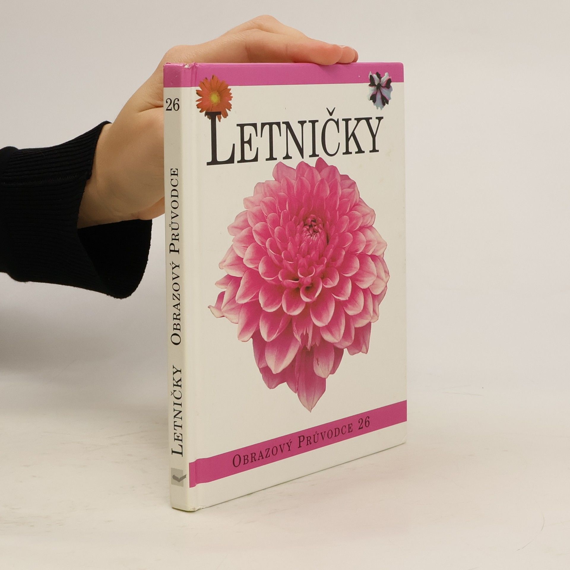 Autorenkollektiv Letničky