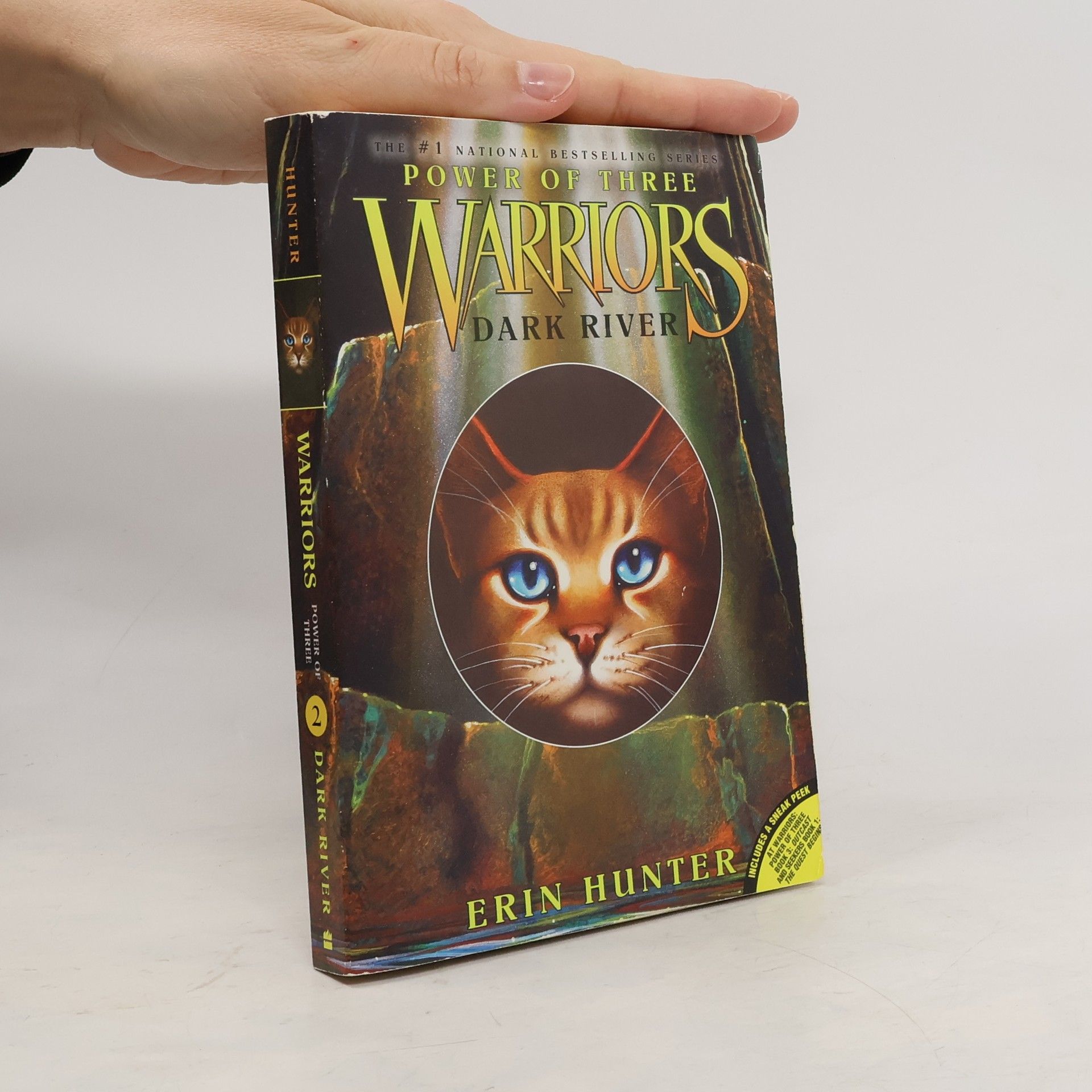 Erin Hunter Warriors: Dark River