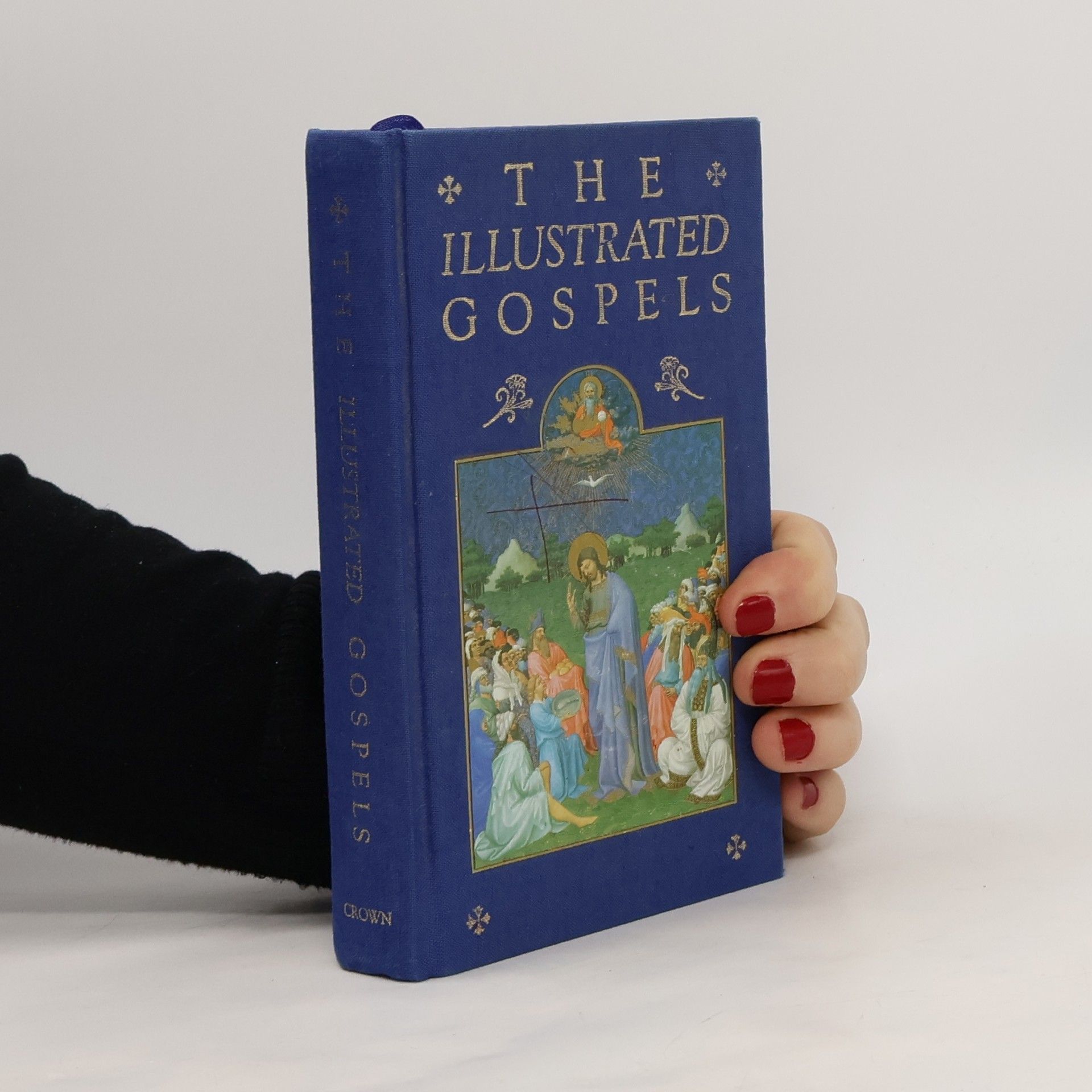 Bible The Illustrated Gospels