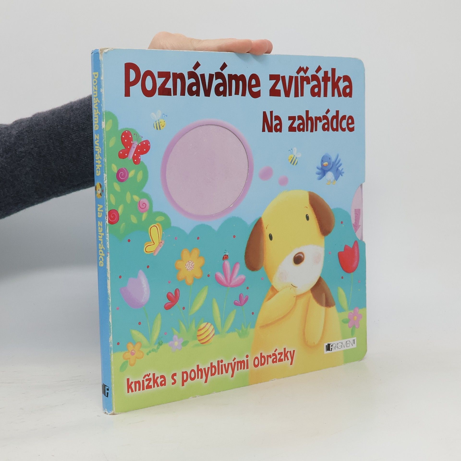 Autorenkollektiv Poznáváme zvířátka: Na zahrádce