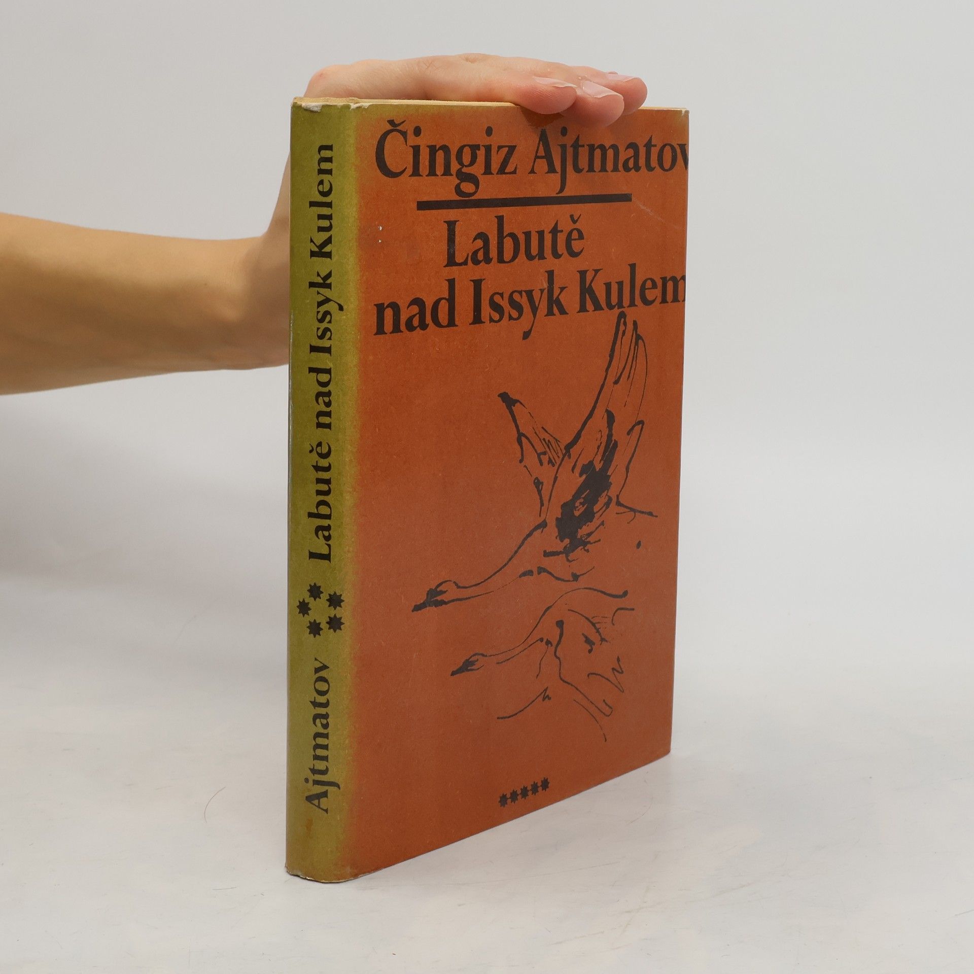 Chinghiz Aitmatov Labutě nad Issyk Kulem