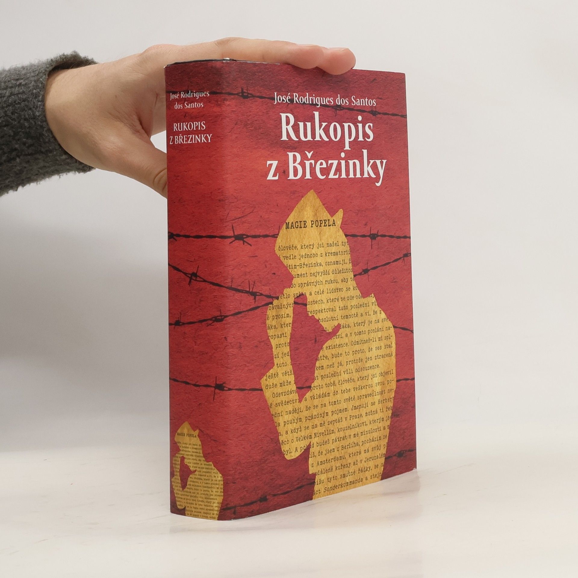 José Rodrigues dos Santos Rukopis z Březinky