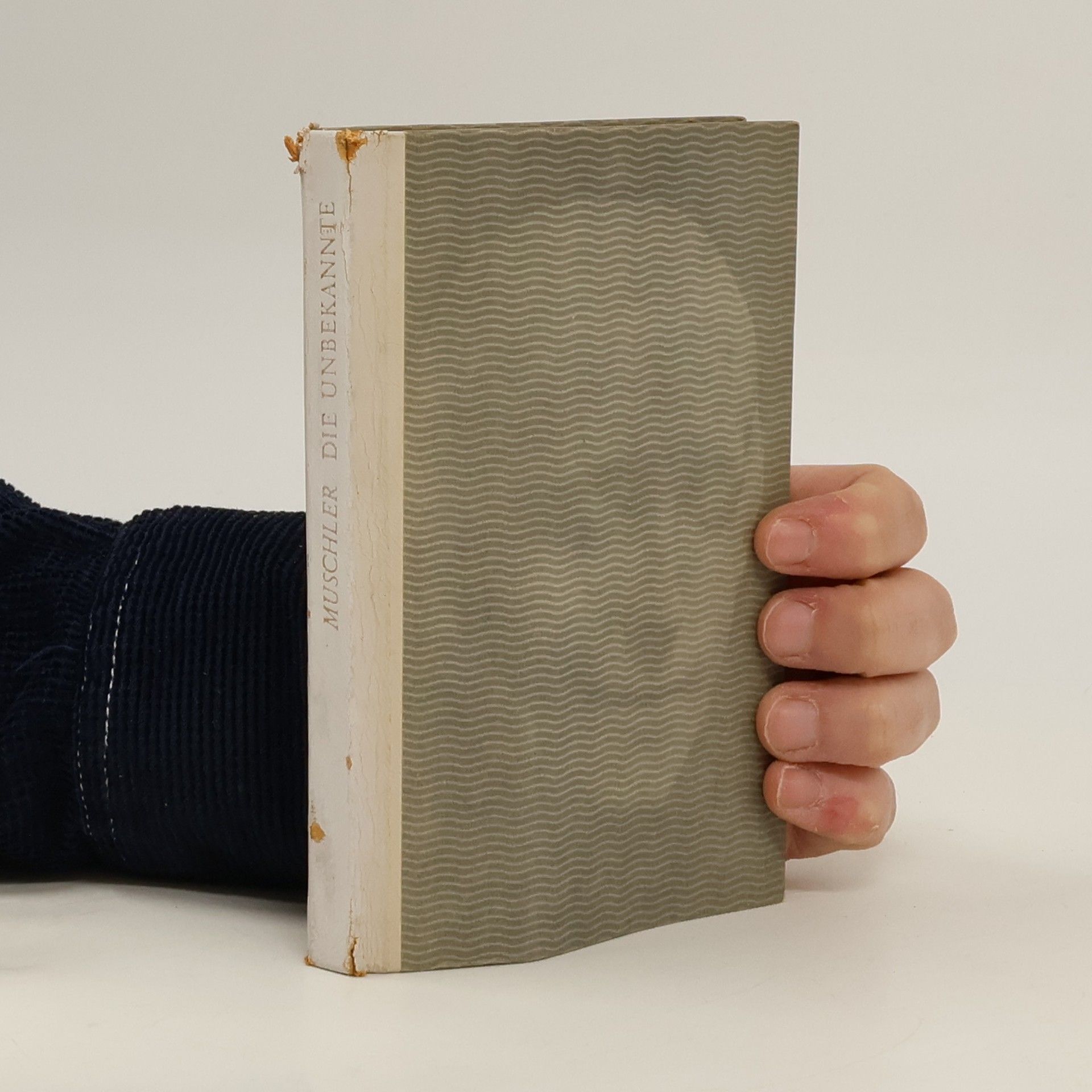 Reinhold C. Muschler Die Unbekannte