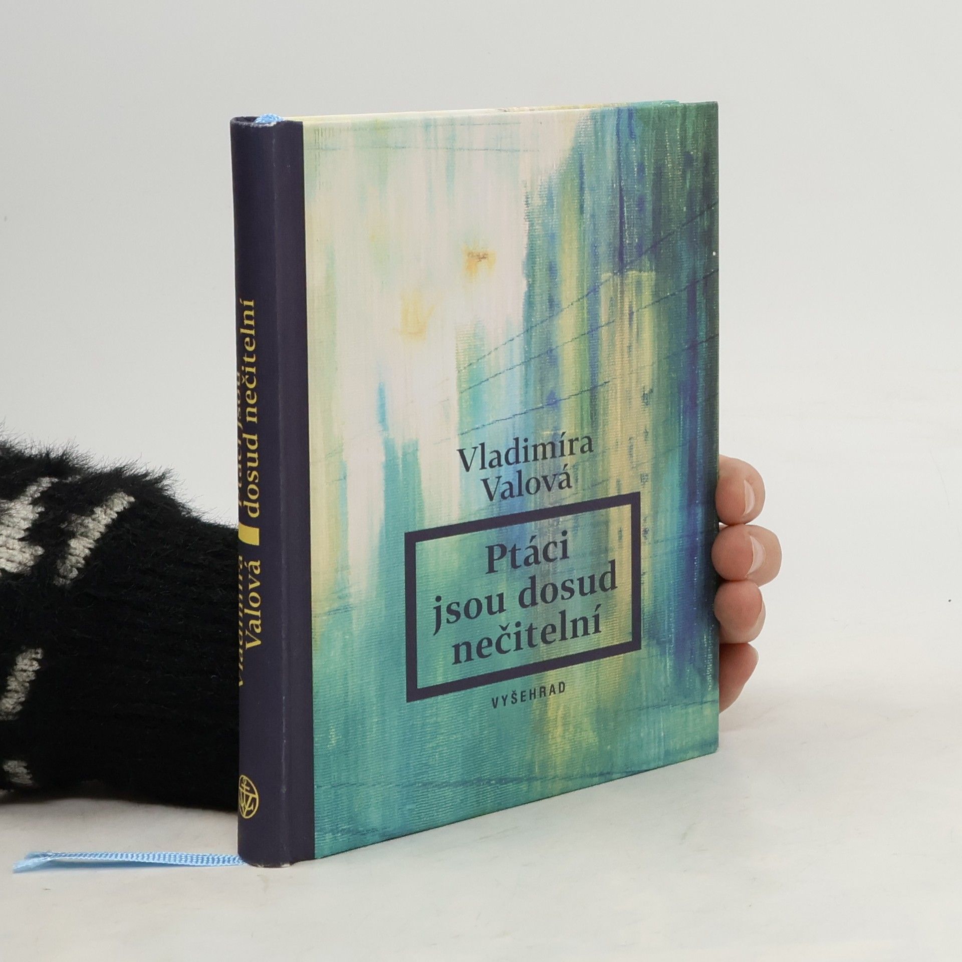 Vladimíra Valová Ptáci jsou dosud nečitelní