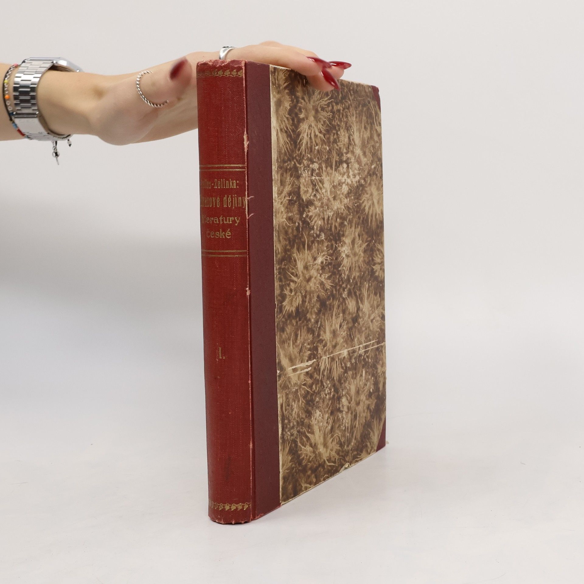 Gustav Pallas Obrazové dějiny literatury české I.