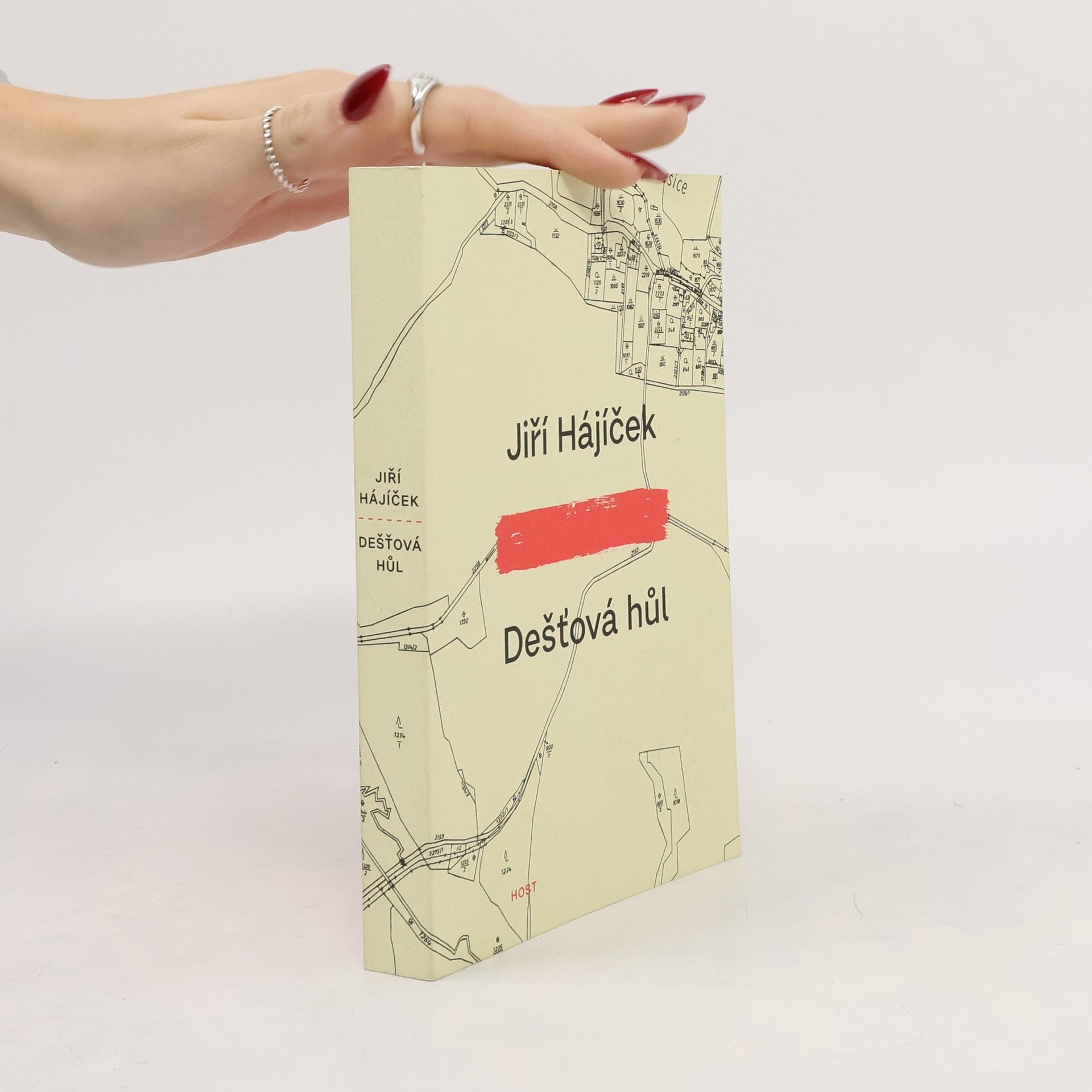 Jiří Hájíček Dešťová hůl