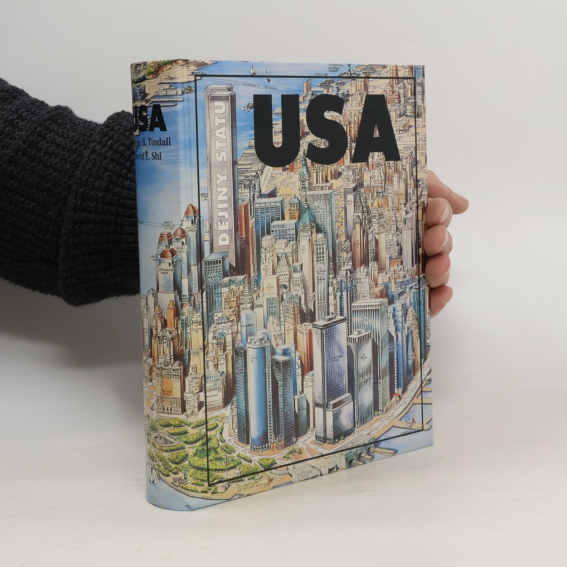 Collectif d'auteurs Dějiny států. USA