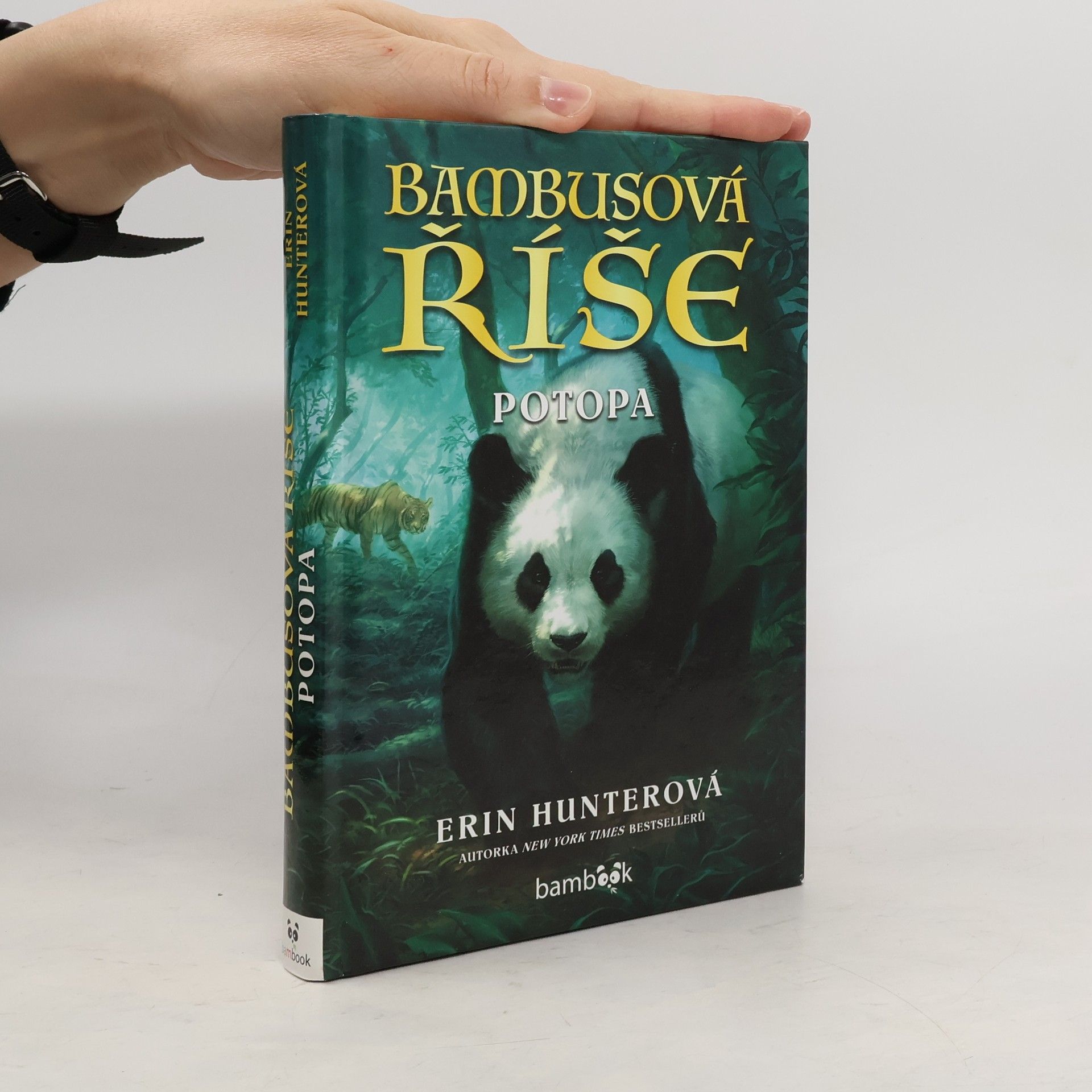 Bambusová říše. Potopa